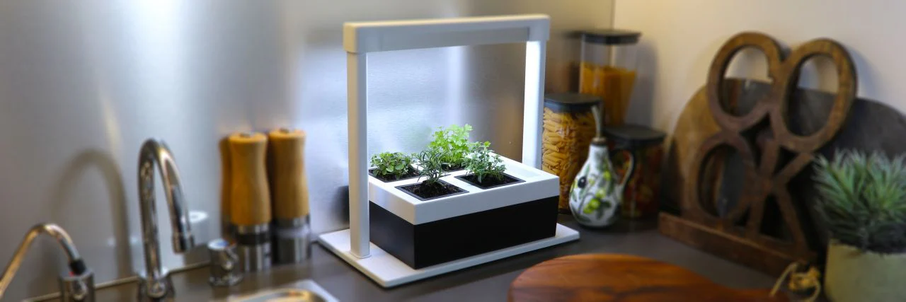Cultivate Your Urban Sanctuary