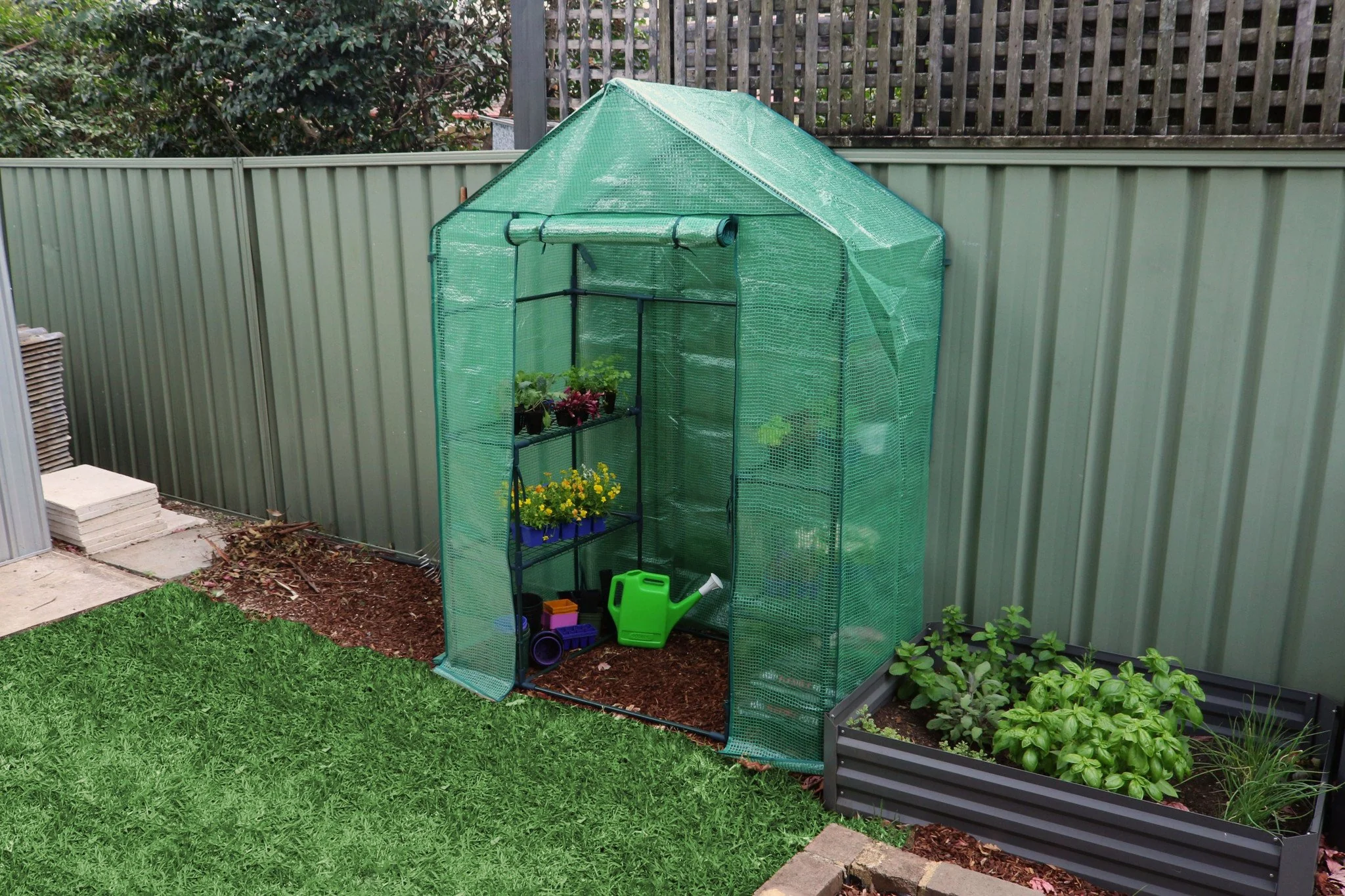 Greenlife 2 Tier Walk-in Greenhouse with PE Cover 1950 x 1430 x 730mm - Image 2