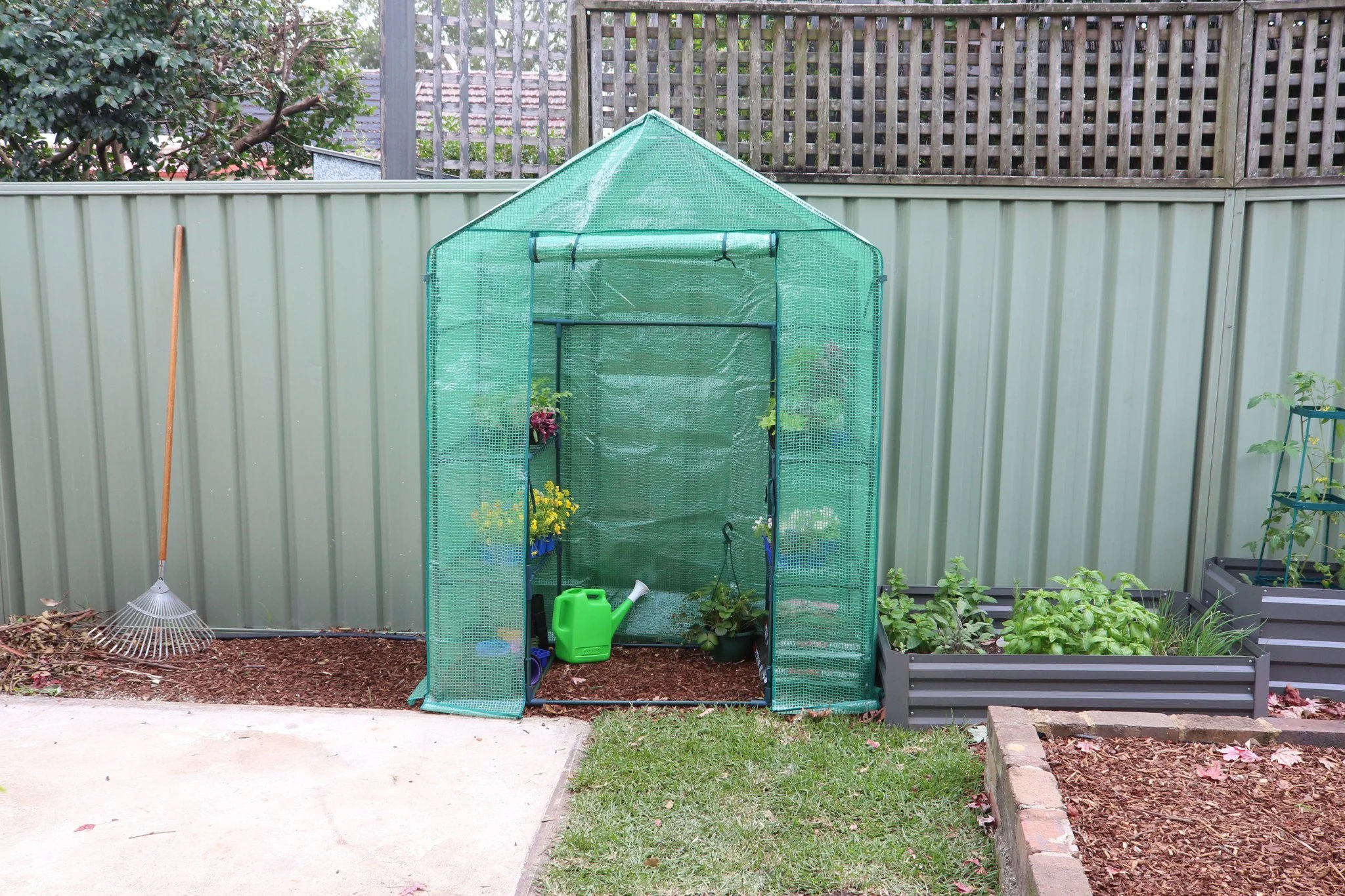 Greenlife 2 Tier Walk-in Greenhouse with PE Cover 1950 x 1430 x 730mm - Image 3