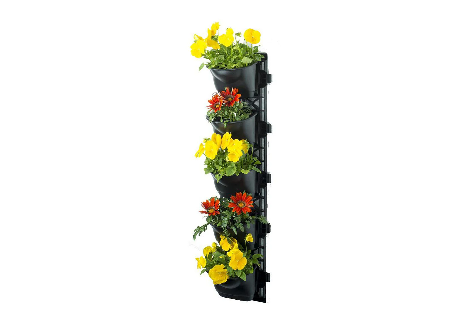 Maze Vertical Garden Wall Growing Kit - Black (25 Pots) - Image 5