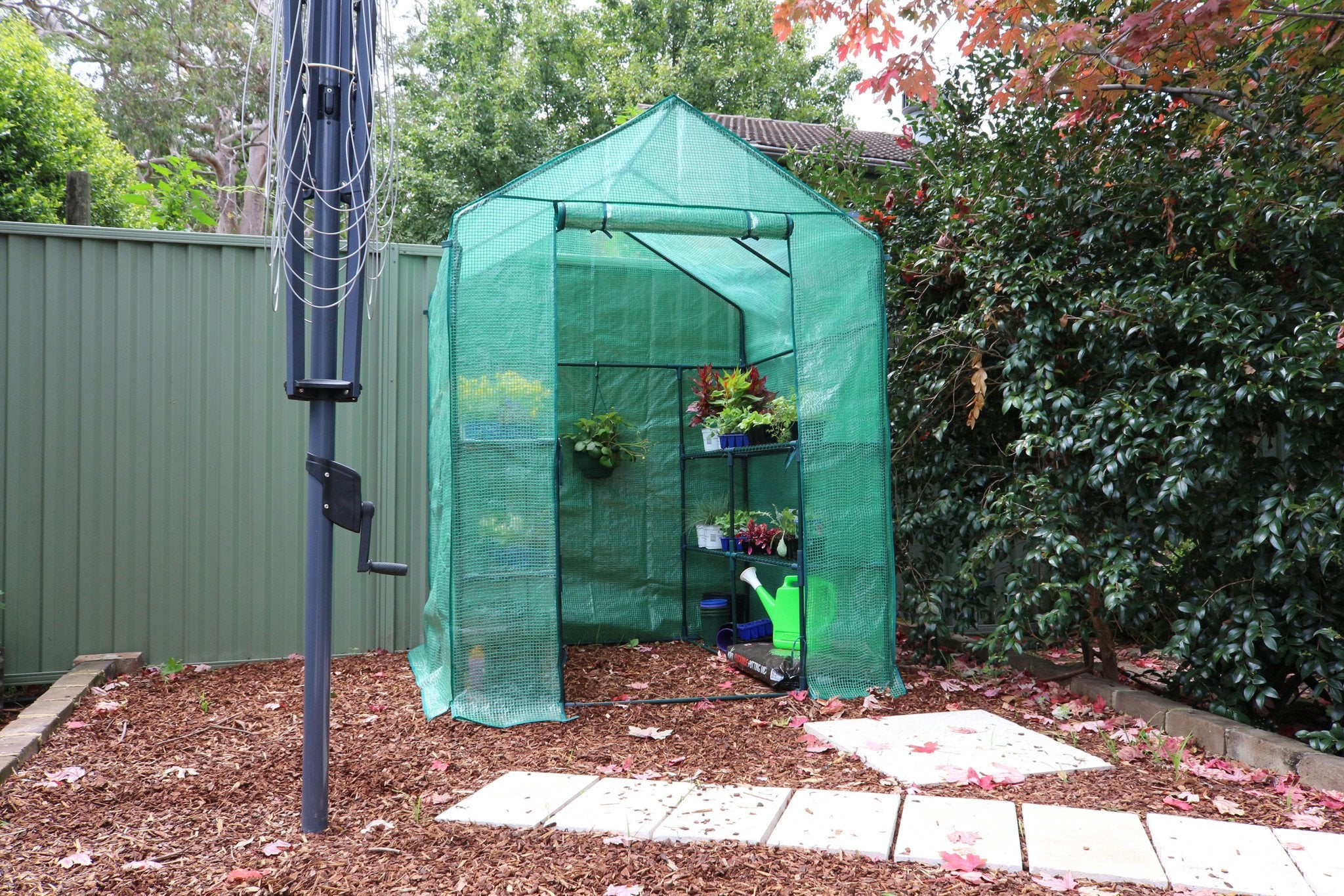 Greenlife 4 Tier Large Walk-in Greenhouse with PE Cover 1950 x 1430 x 1430mm - Image 3