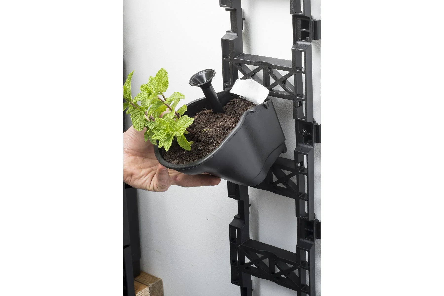 Maze Vertical Garden Wall Growing Kit - Black (5 Pots) - Image 12