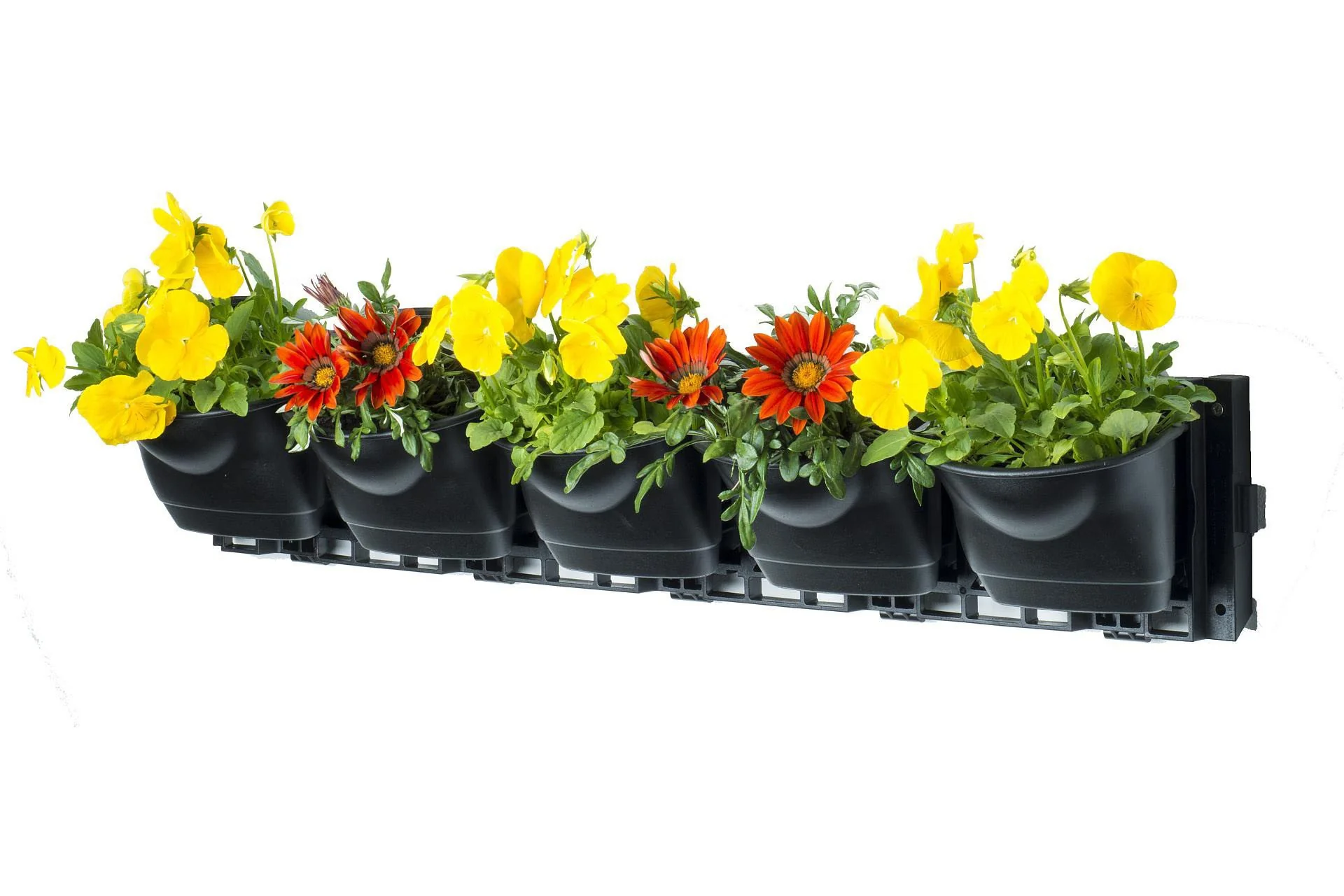 Maze Vertical Garden Wall Growing Kit - Black (5 Pots) - Image 3