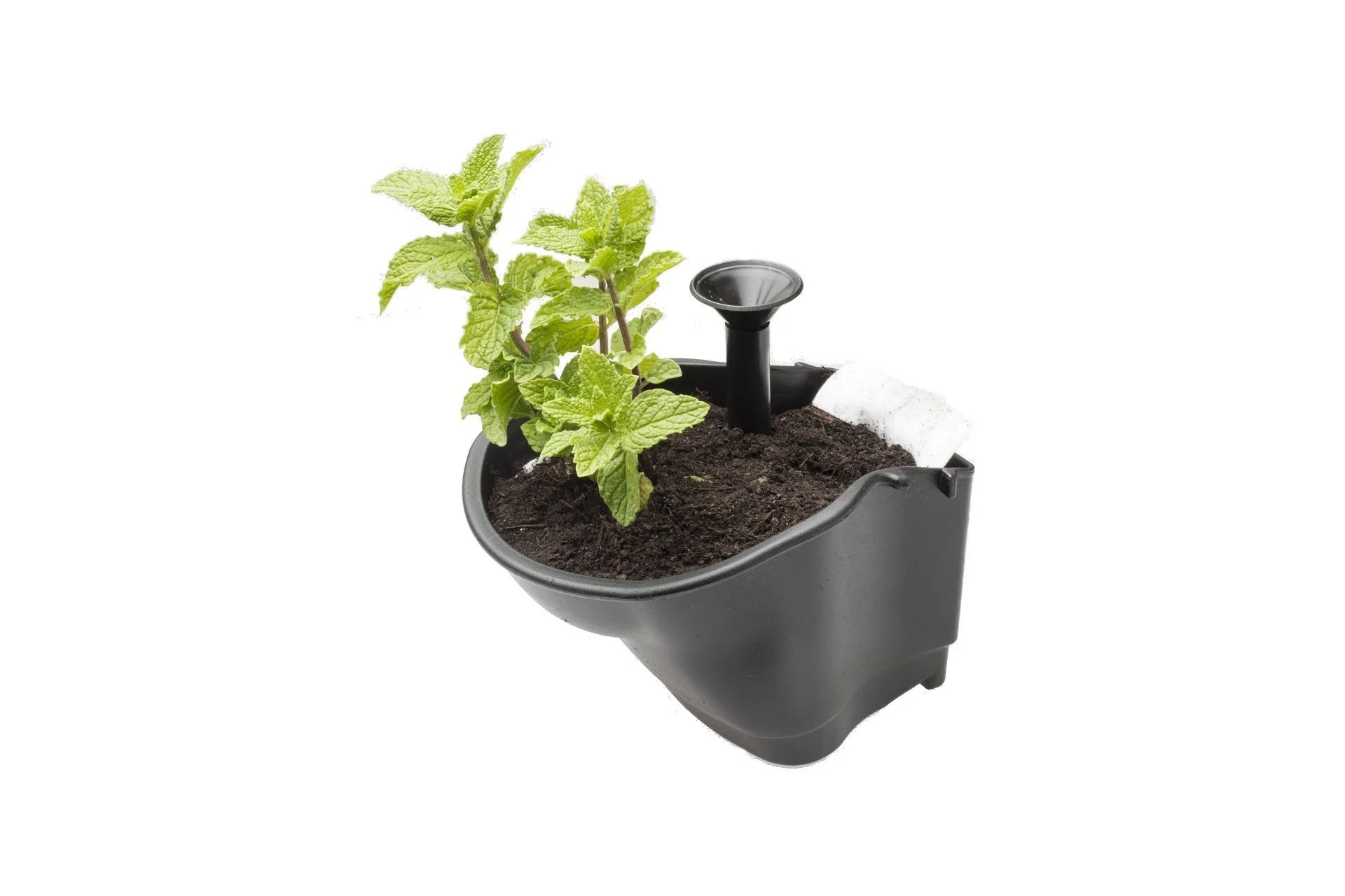 Maze Vertical Garden Wall Growing Kit - Black (5 Pots) - Image 5