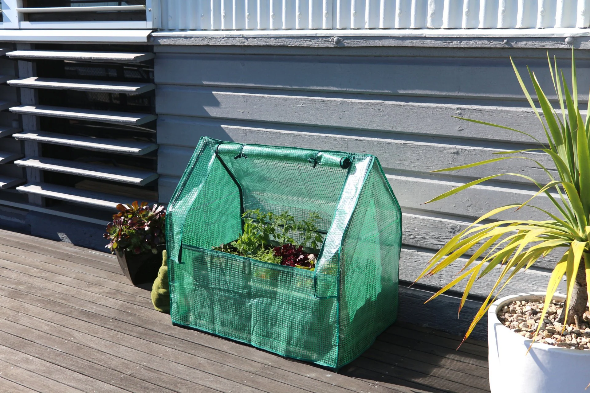 Greenlife Mini Patio Drop Over PE Greenhouse 880 x 580 x 820mm - Image 10