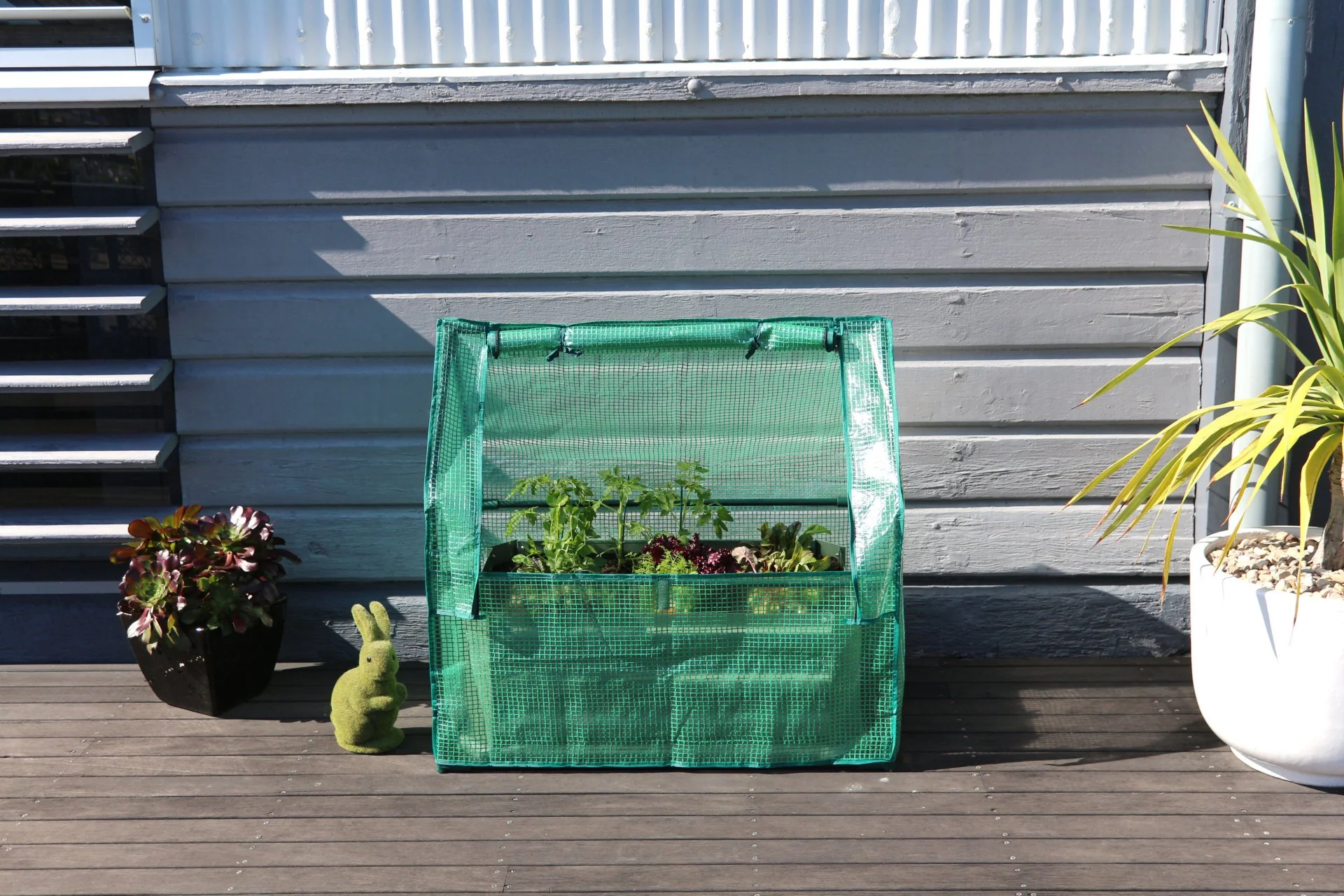 Greenlife Mini Patio Drop Over PE Greenhouse 880 x 580 x 820mm - Image 11