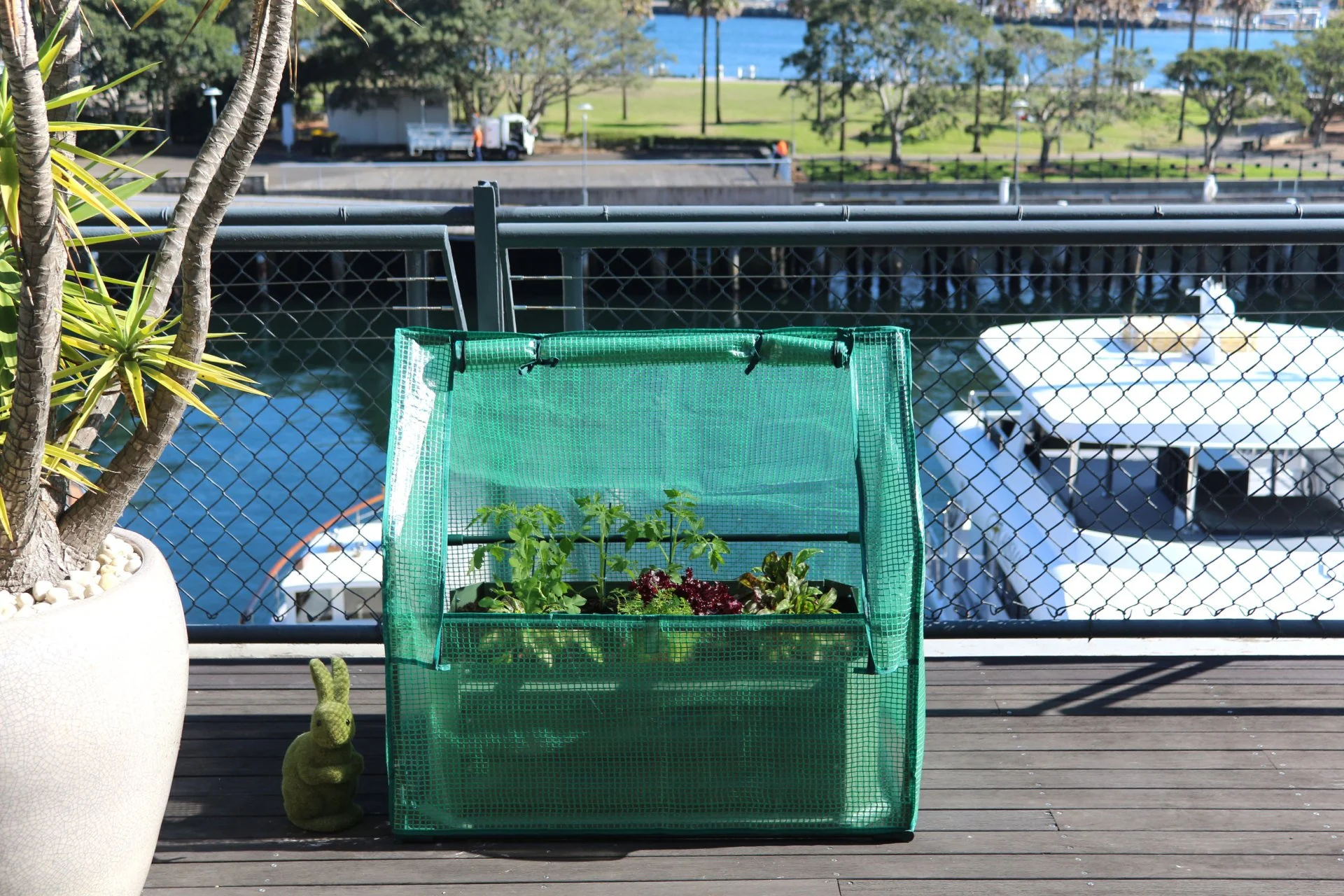 Greenlife Mini Patio Drop Over PE Greenhouse 880 x 580 x 820mm - Image 8