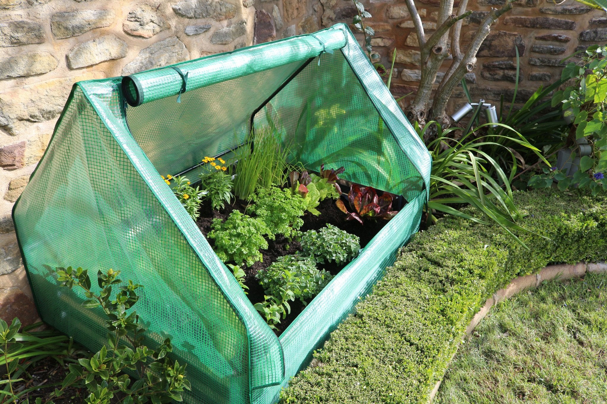 Greenlife Drop Over Greenhouse with PE Cover 1250 x 950 x 920mm - Image 3