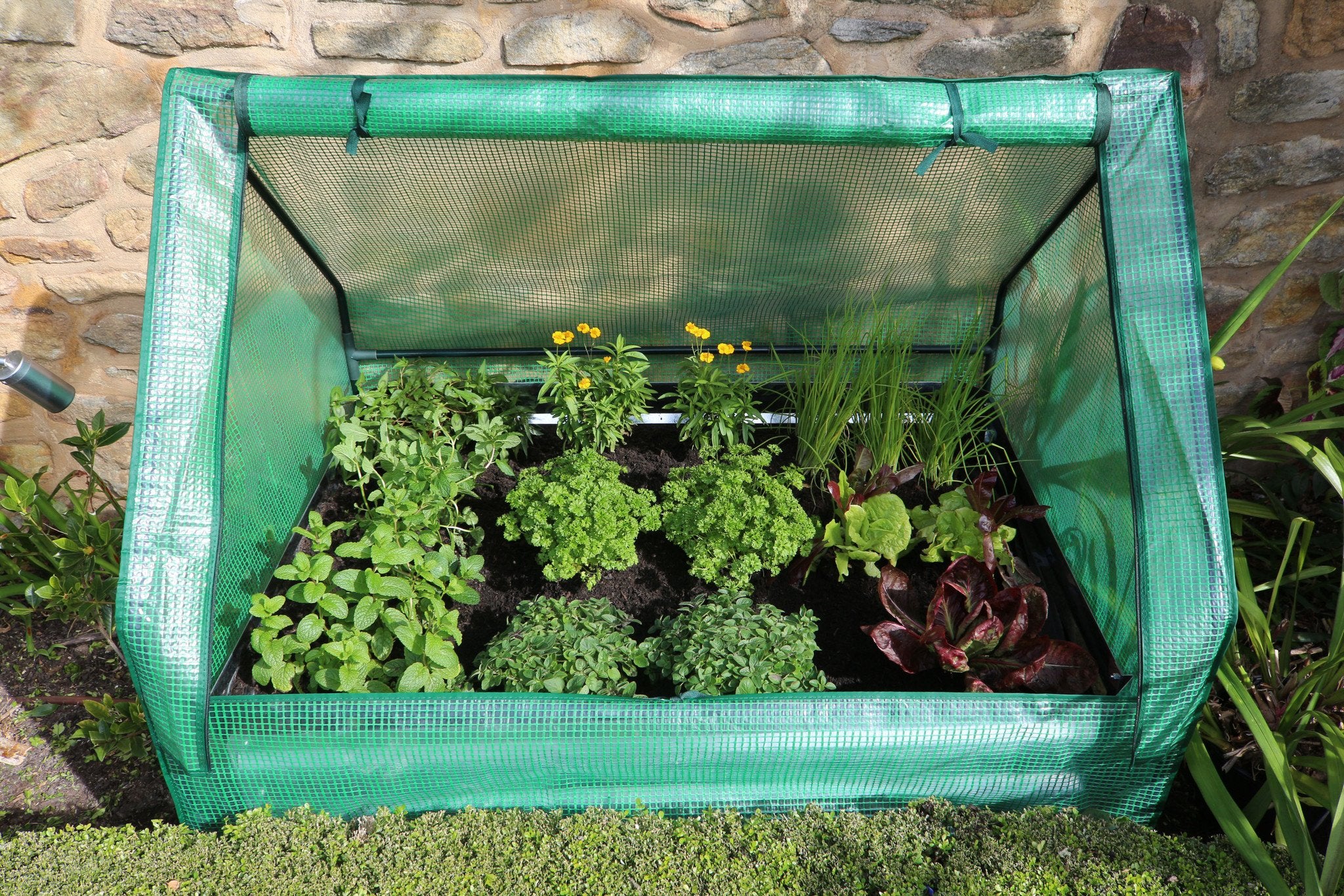 Greenlife Drop Over Greenhouse with PE Cover 1250 x 950 x 920mm - Image 4