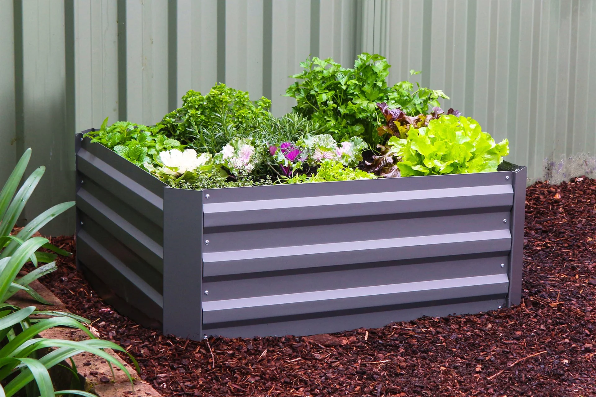 Greenlife Raised Metal Garden Bed + PE Drop Over Greenhouse + Gardening Gloves - Image 4