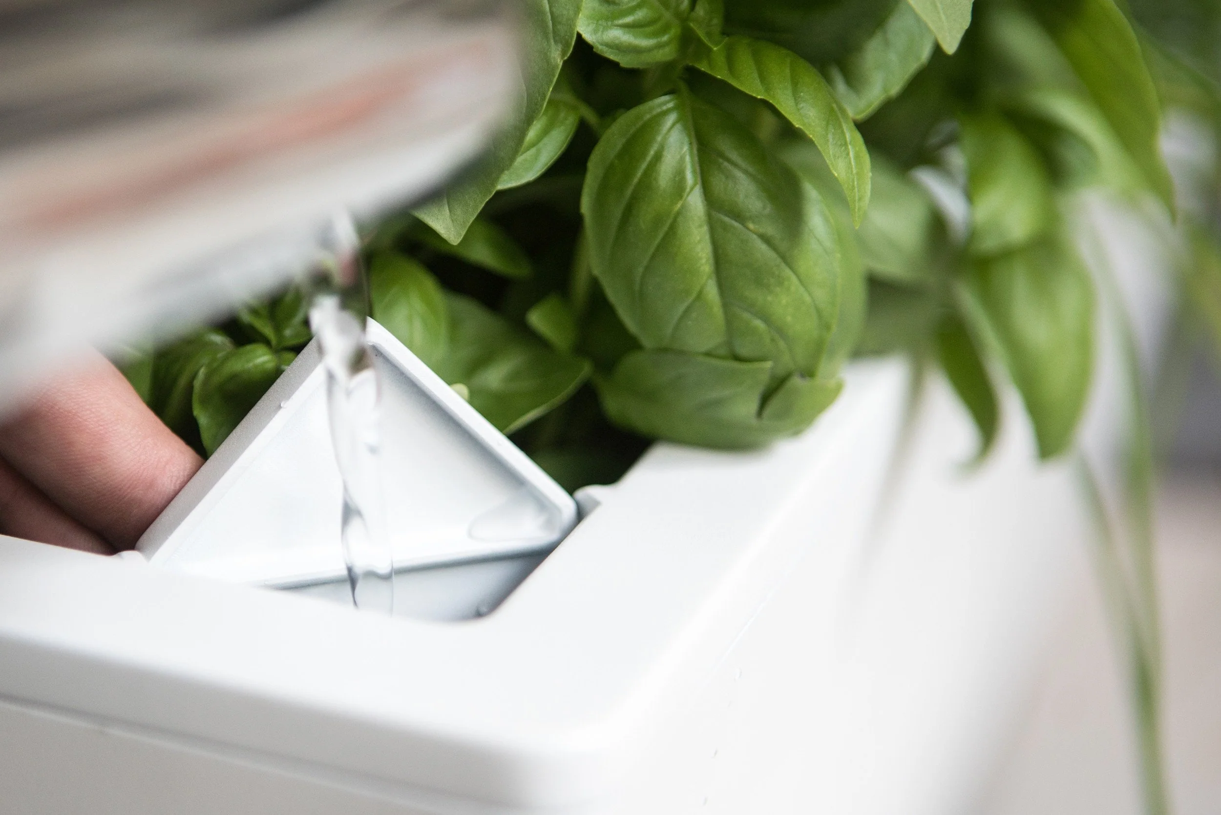 Glowpear Mini Bench Planter - Self Watering Raised Garden Planter Box - Image 10