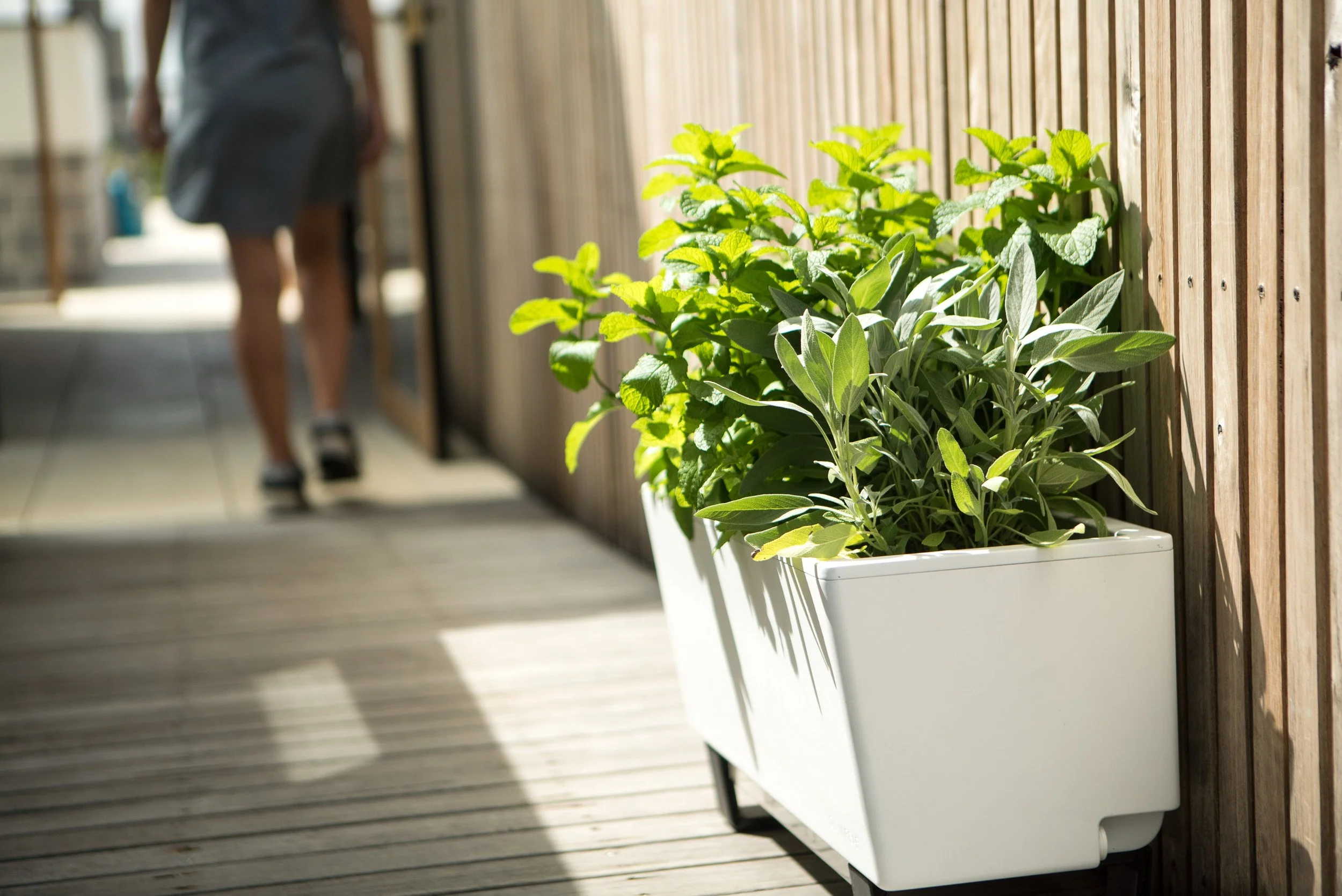 Glowpear Mini Bench Planter - Self Watering Raised Garden Planter Box - Image 2