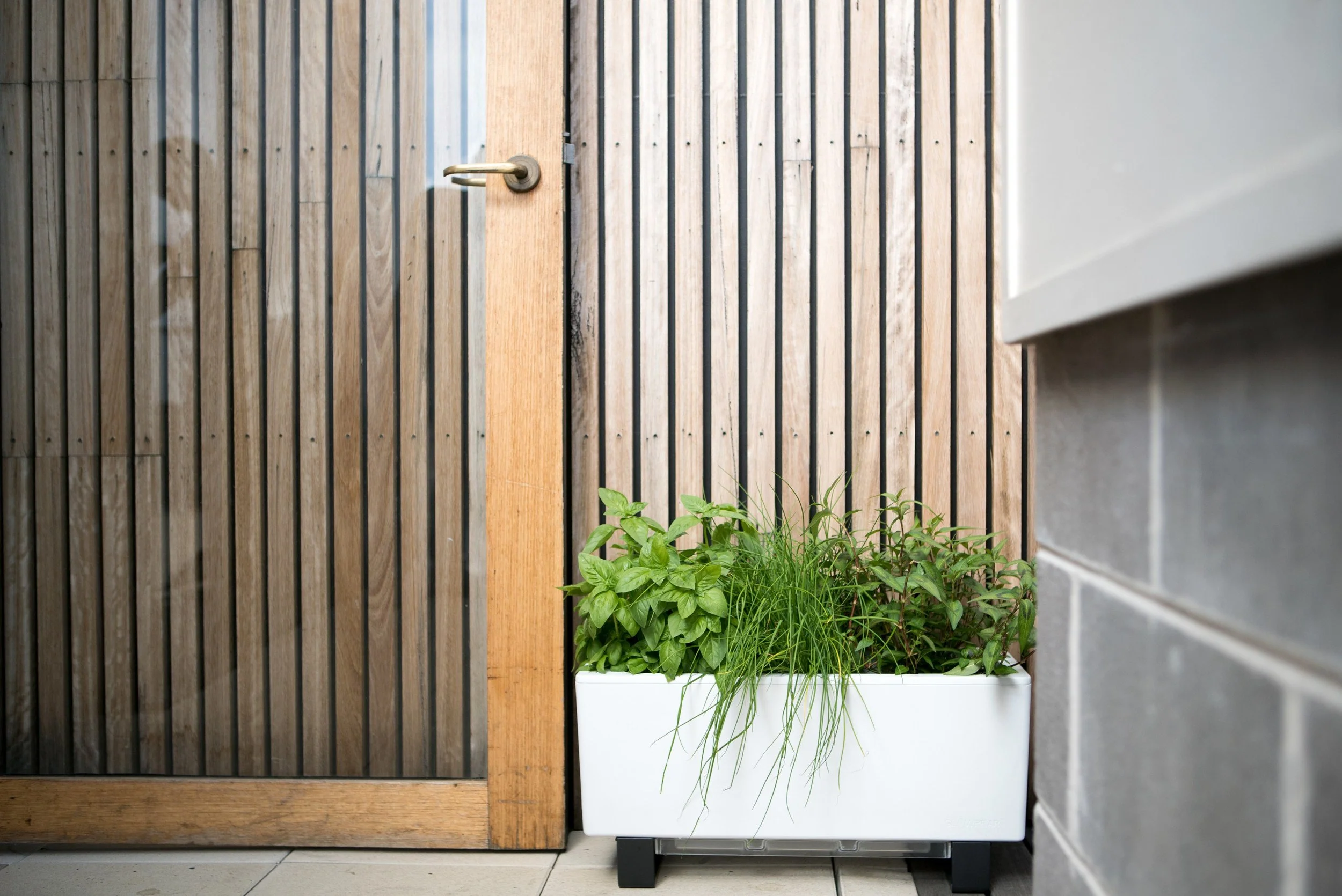 Glowpear Mini Bench Planter - Self Watering Raised Garden Planter Box - Image 6