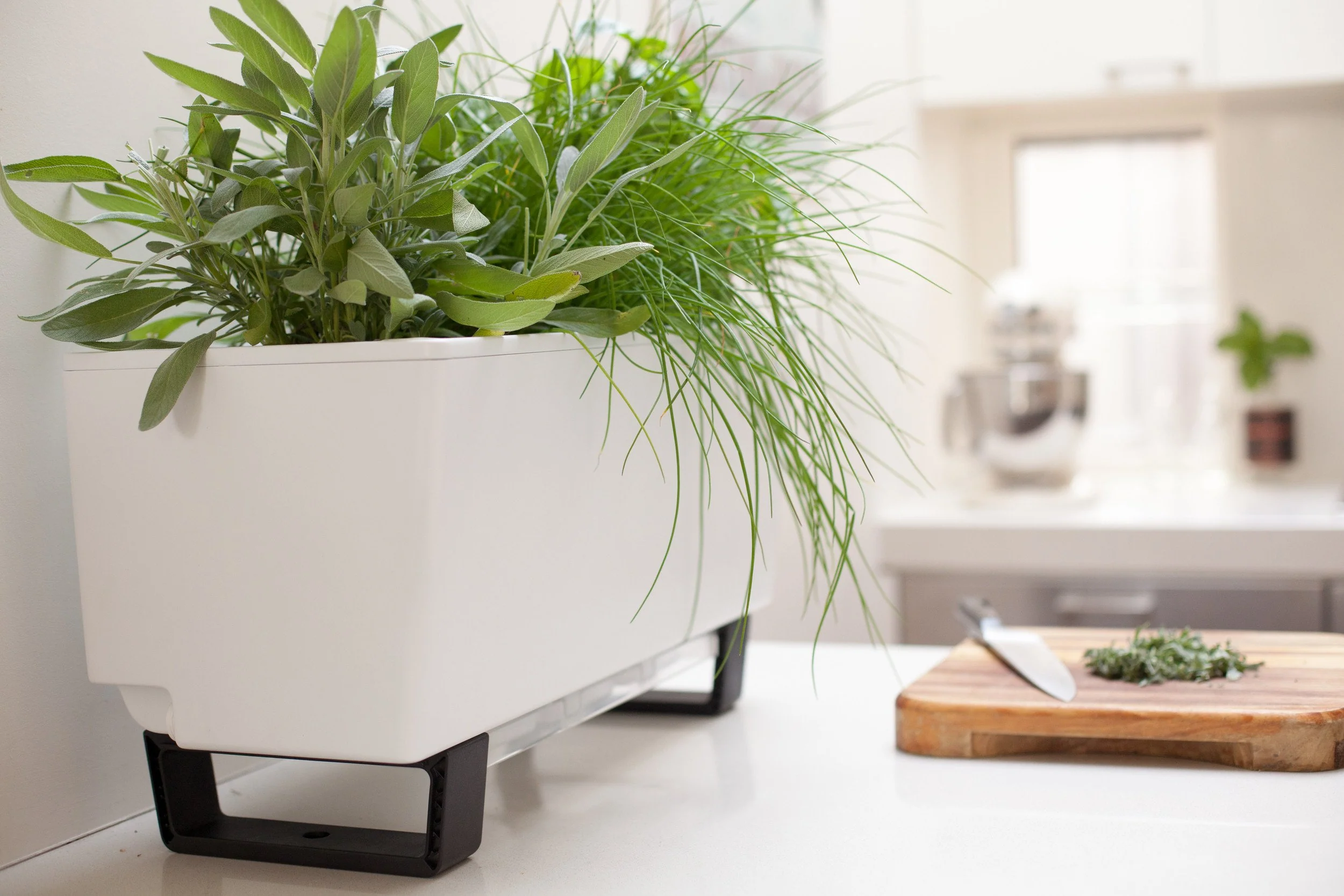 Glowpear Mini Bench Planter - Self Watering Raised Garden Planter Box - Image 8
