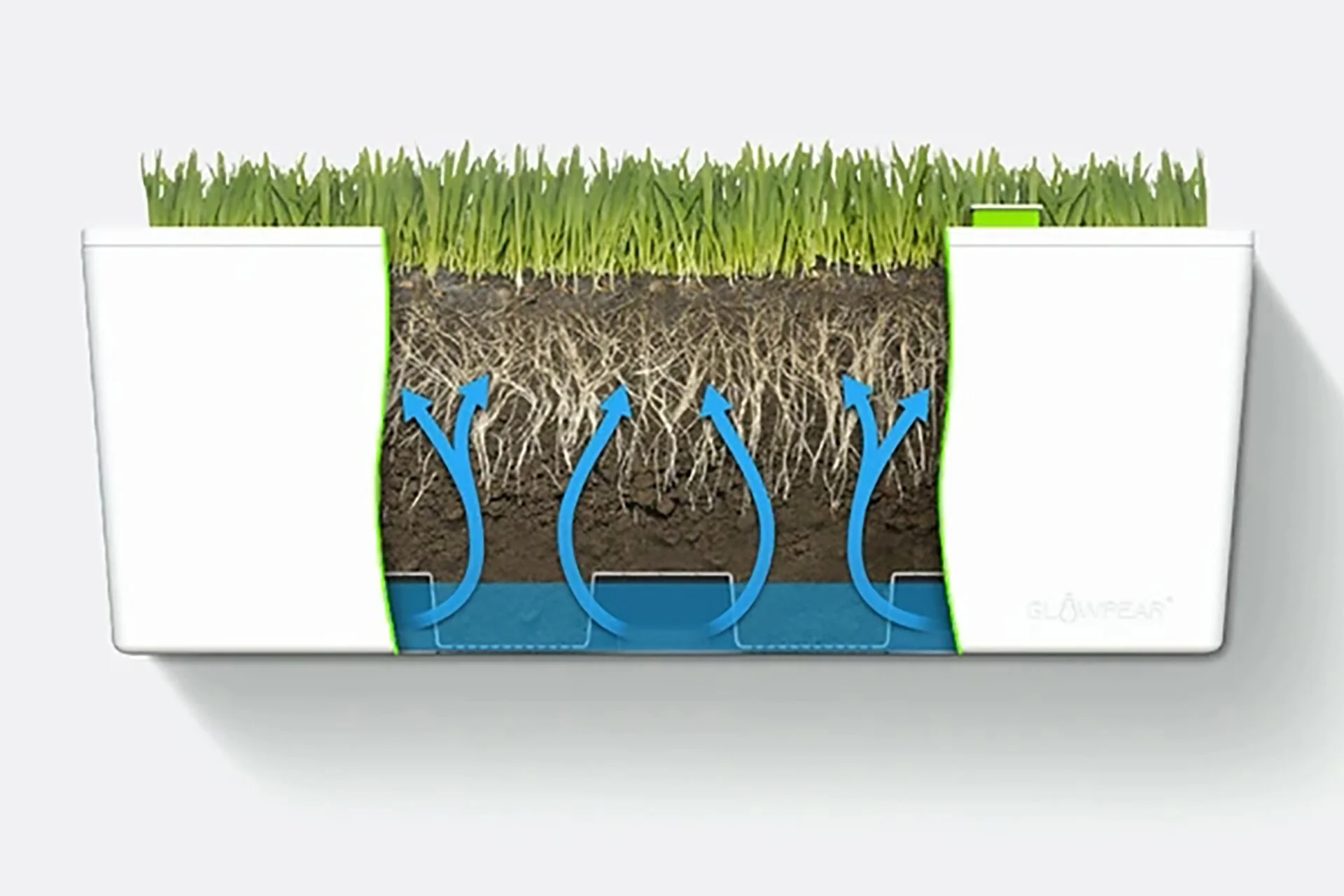 Glowpear Mini Rail Planter - Self Watering Balcony Planter Box - Image 5