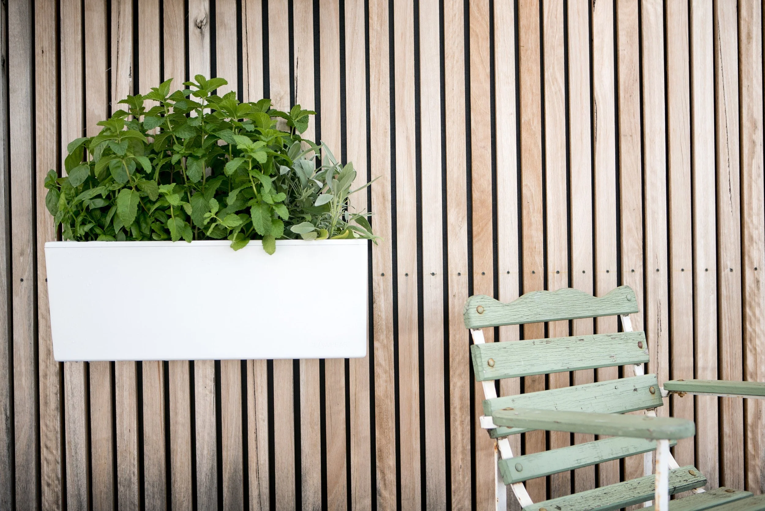 Glowpear Mini Wall Planter - Self Watering Vertical Garden Planter Box - Image 5