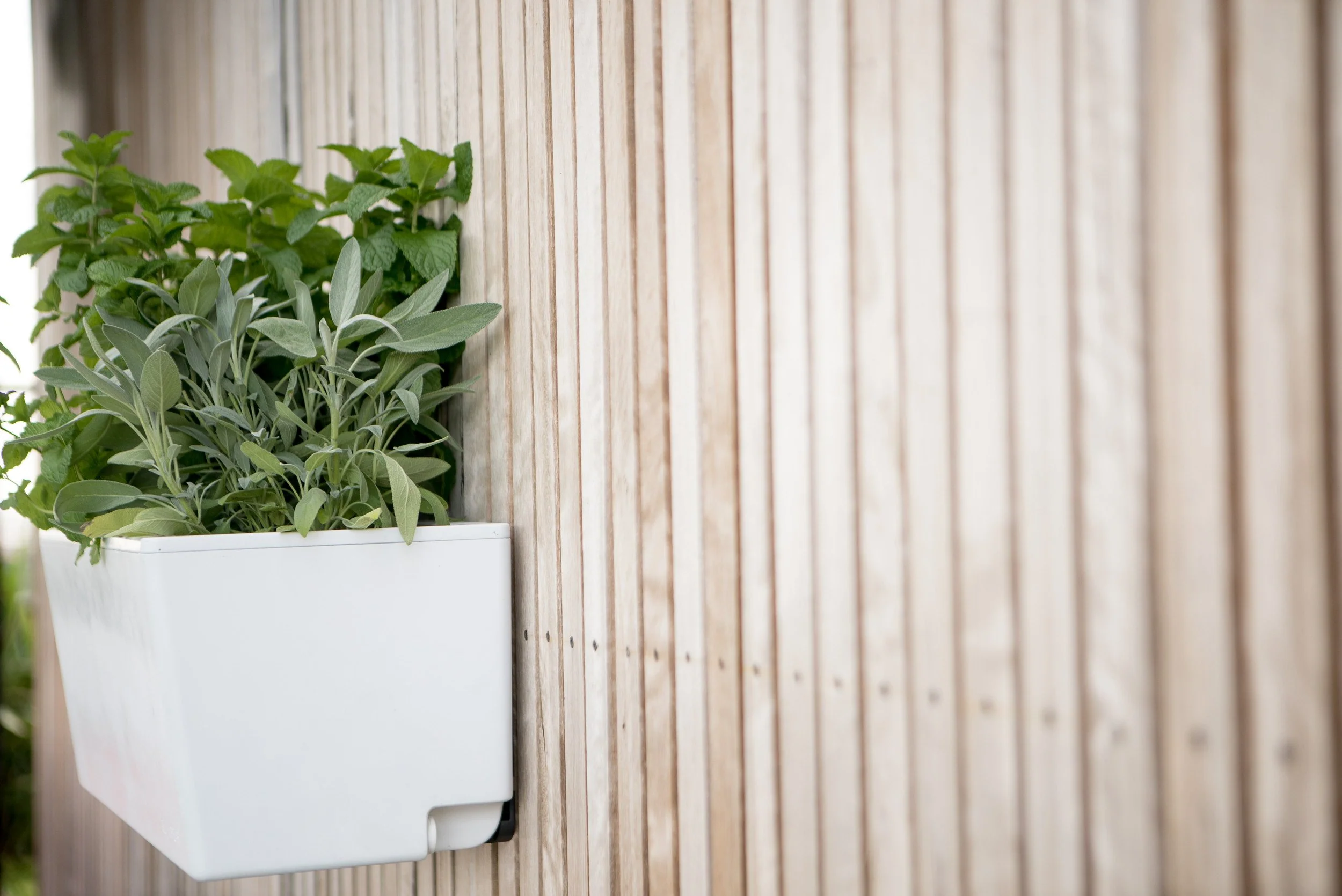 Glowpear Mini Wall Planter - Self Watering Vertical Garden Planter Box - Image 6