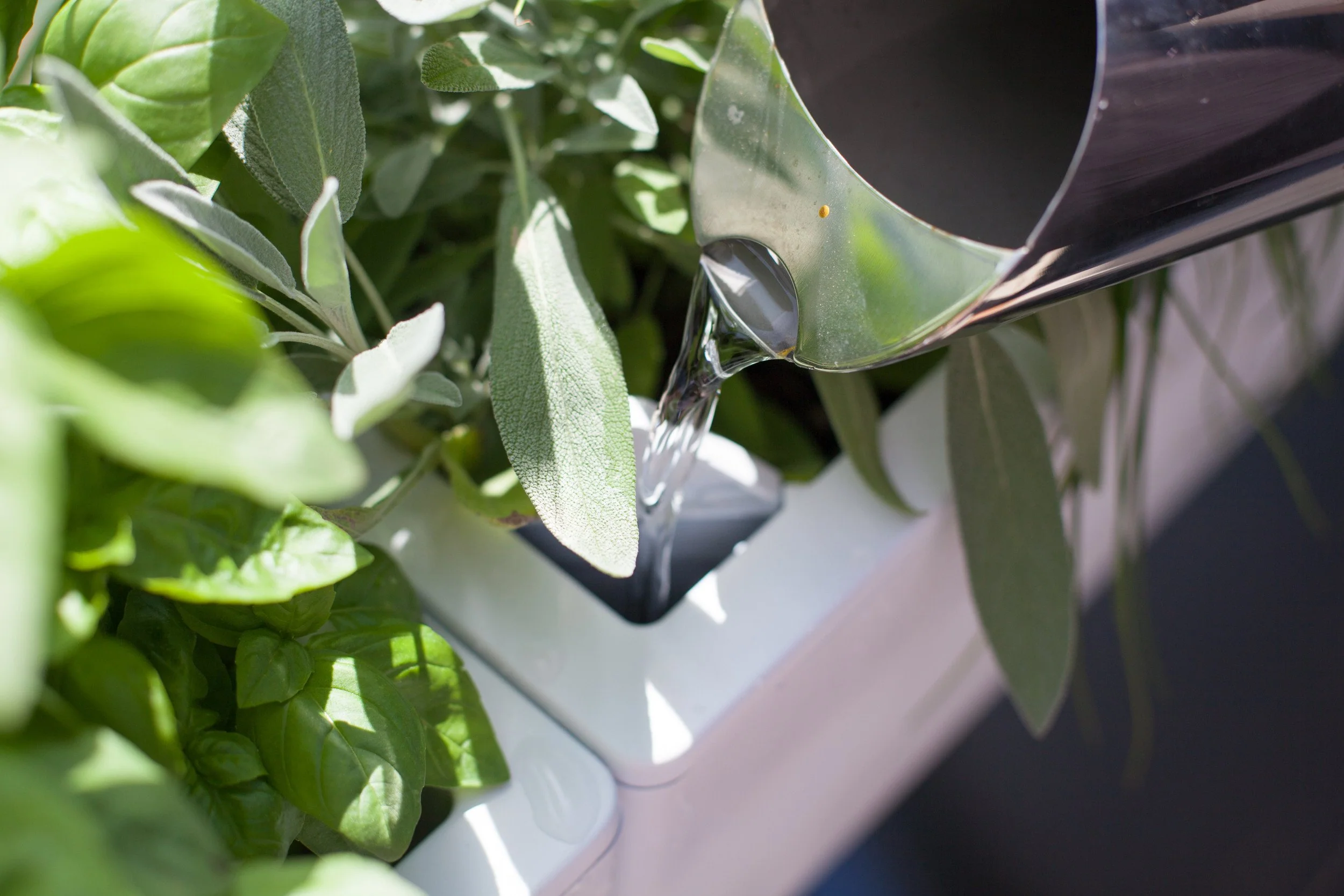 Glowpear Mini Wall Planter - Self Watering Vertical Garden Planter Box - Image 8