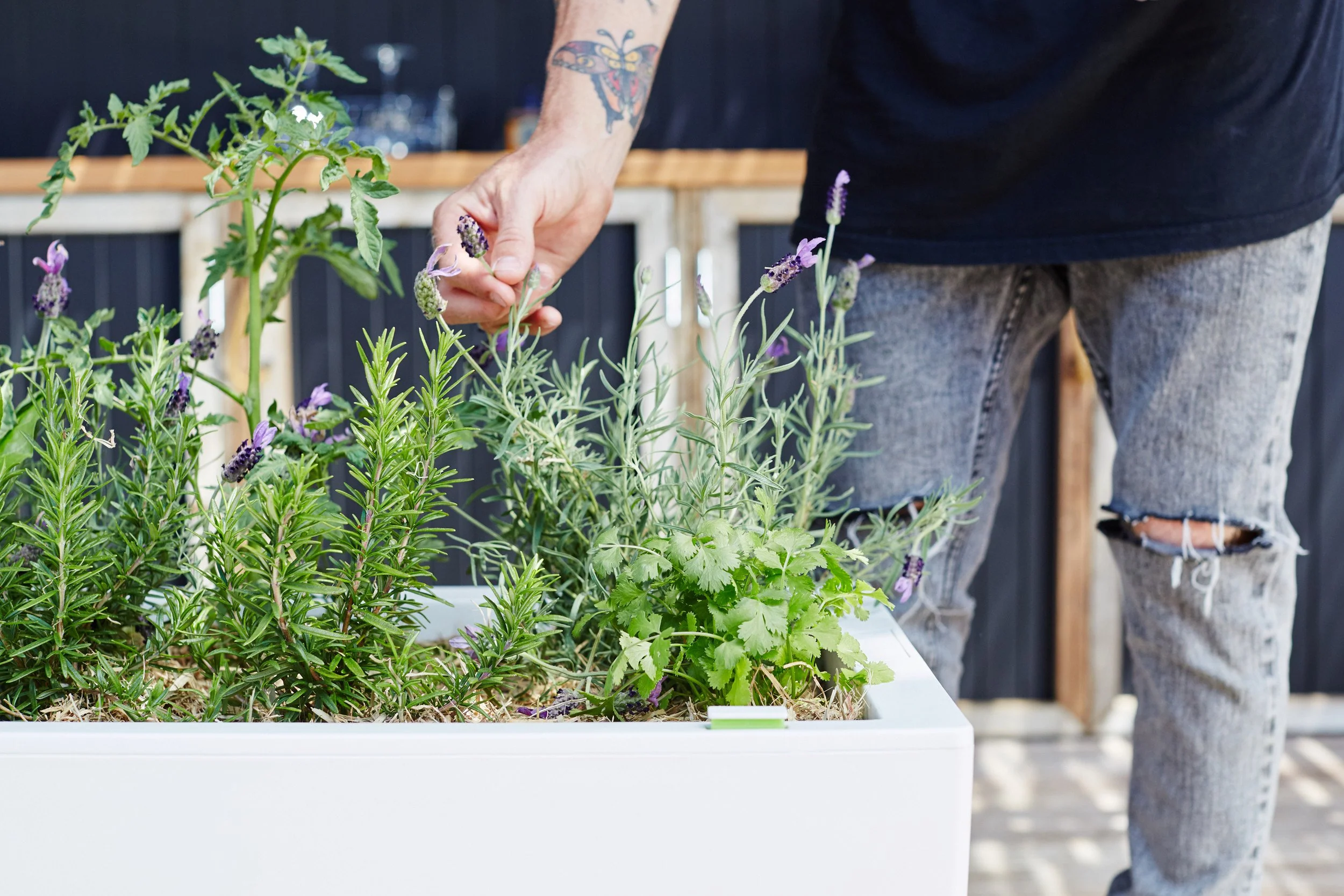 Glowpear Urban Garden Planter - Self Watering Planter Box Kit - Image 4