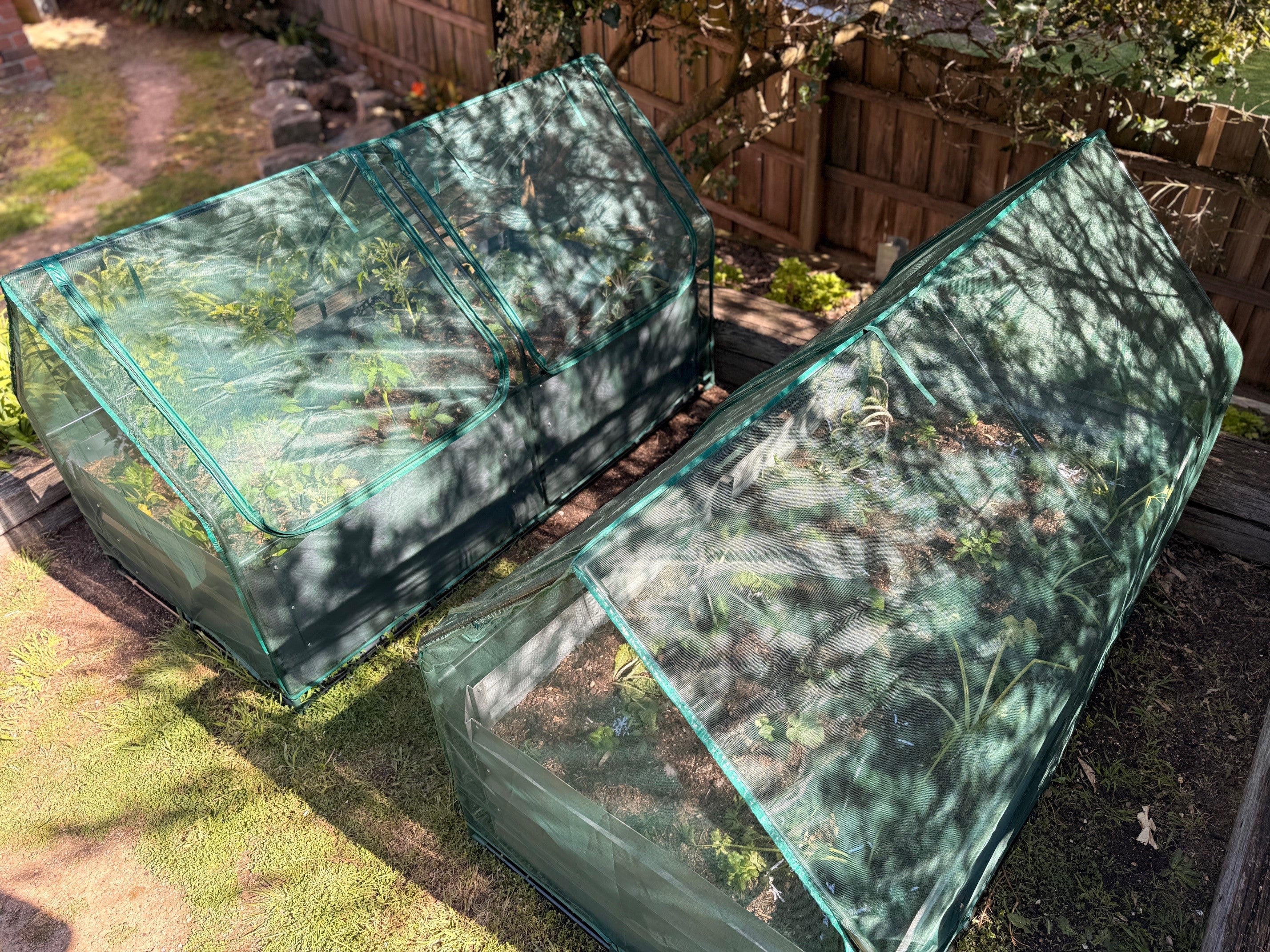 Greenlife Large Drop Over PE Greenhouse + Netting Cover 1850 x 950 x 1020mm - Image 9