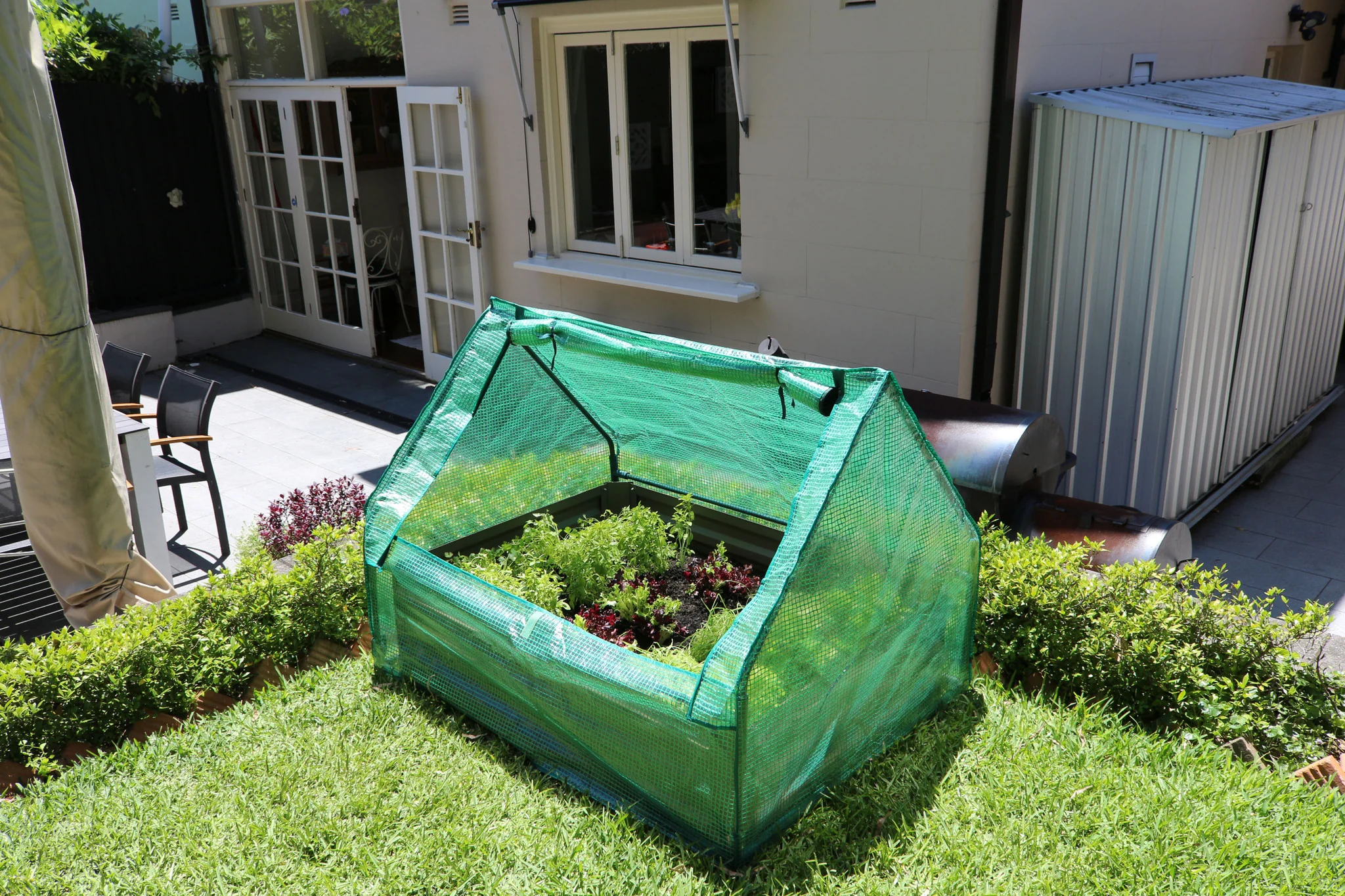Greenlife Raised Garden Bed Charcoal + Drop Over PE Greenhouse 1250 x 950 x 920 - Image 4