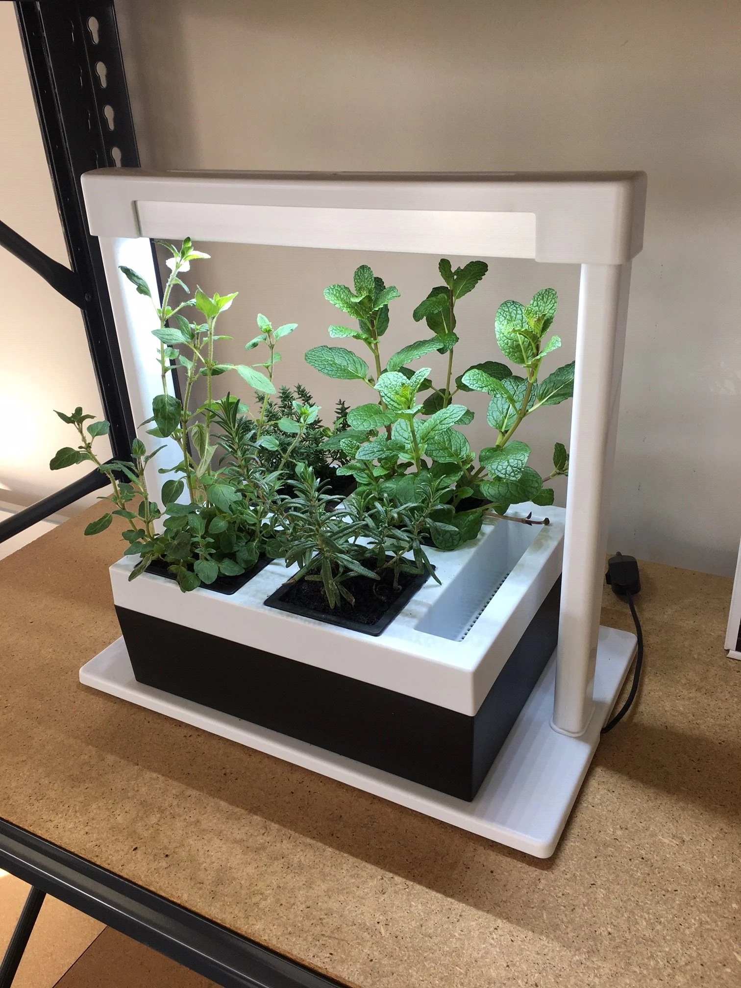 Greenlife LED Grow Light Herb Lamp Kit with 4 Pot Growing Planter - Self Watering - Image 10