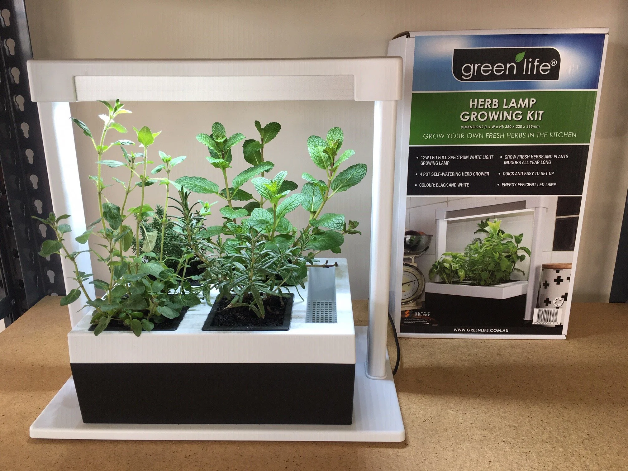 Greenlife LED Grow Light Herb Lamp Kit with 4 Pot Growing Planter - Self Watering - Image 11