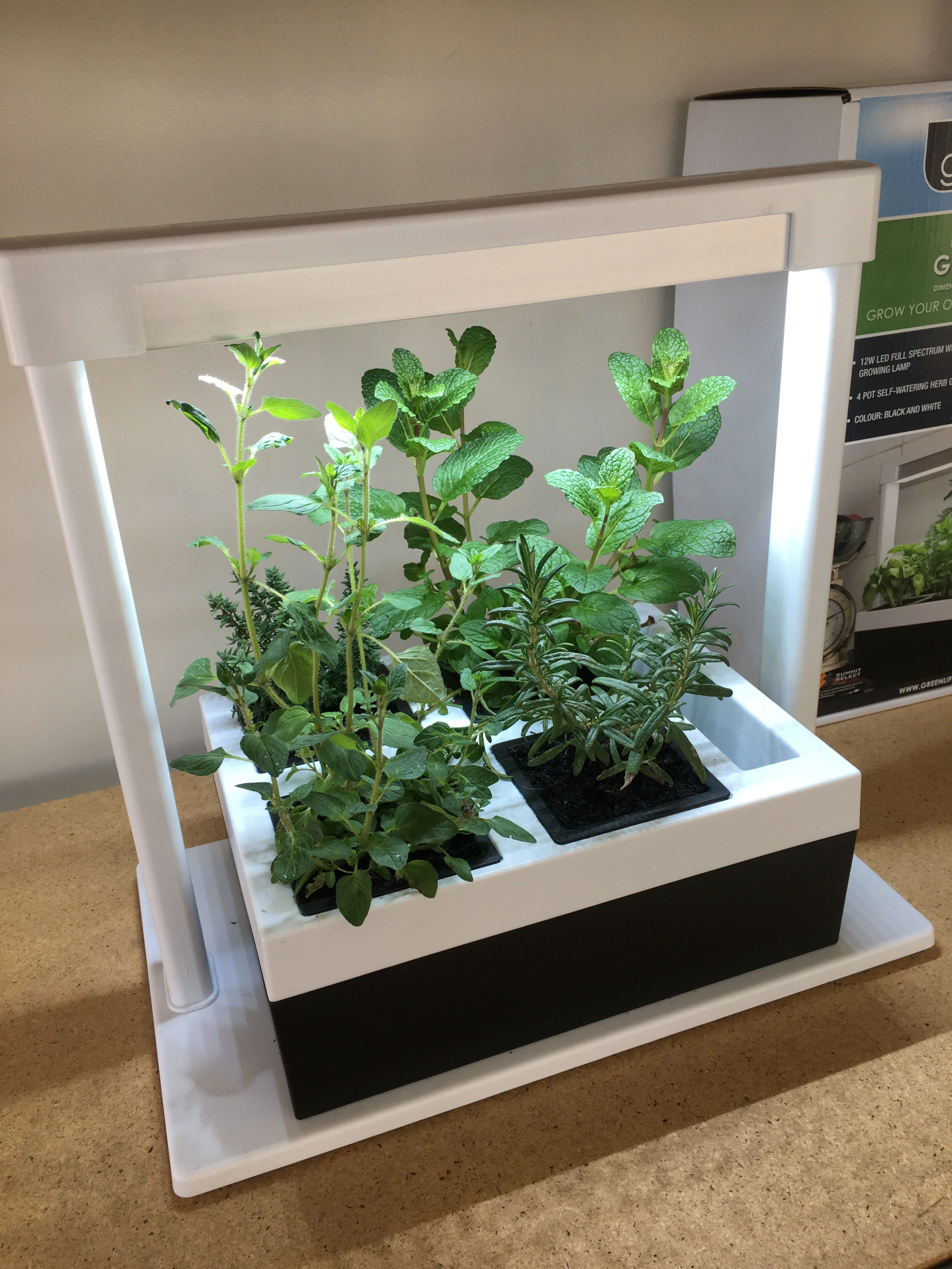 Greenlife LED Grow Light Herb Lamp Kit with 4 Pot Growing Planter - Self Watering - Image 12