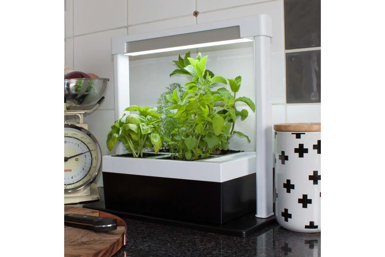 Greenlife LED Grow Light Herb Lamp Kit with 4 Pot Growing Planter - Self Watering - Image 13