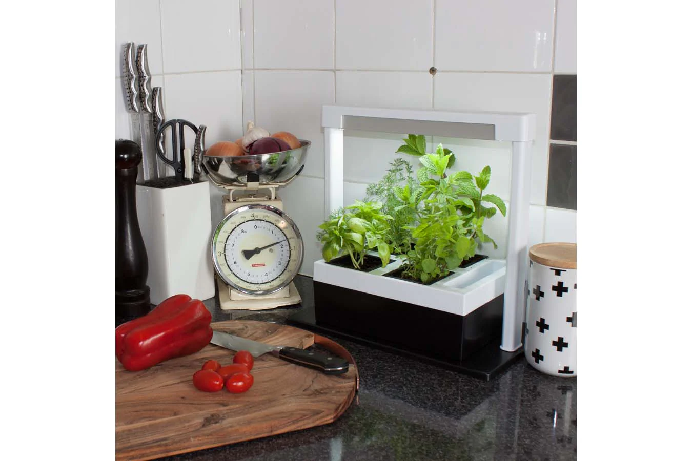 Greenlife LED Grow Light Herb Lamp Kit with 4 Pot Growing Planter - Self Watering - Image 14
