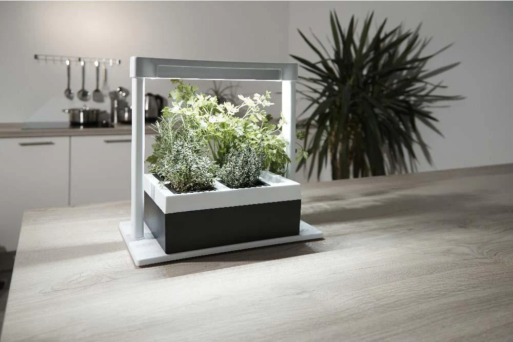Greenlife LED Grow Light Herb Lamp Kit with 4 Pot Growing Planter - Self Watering - Image 3