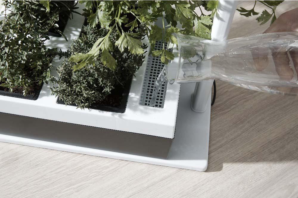 Greenlife LED Grow Light Herb Lamp Kit with 4 Pot Growing Planter - Self Watering - Image 4