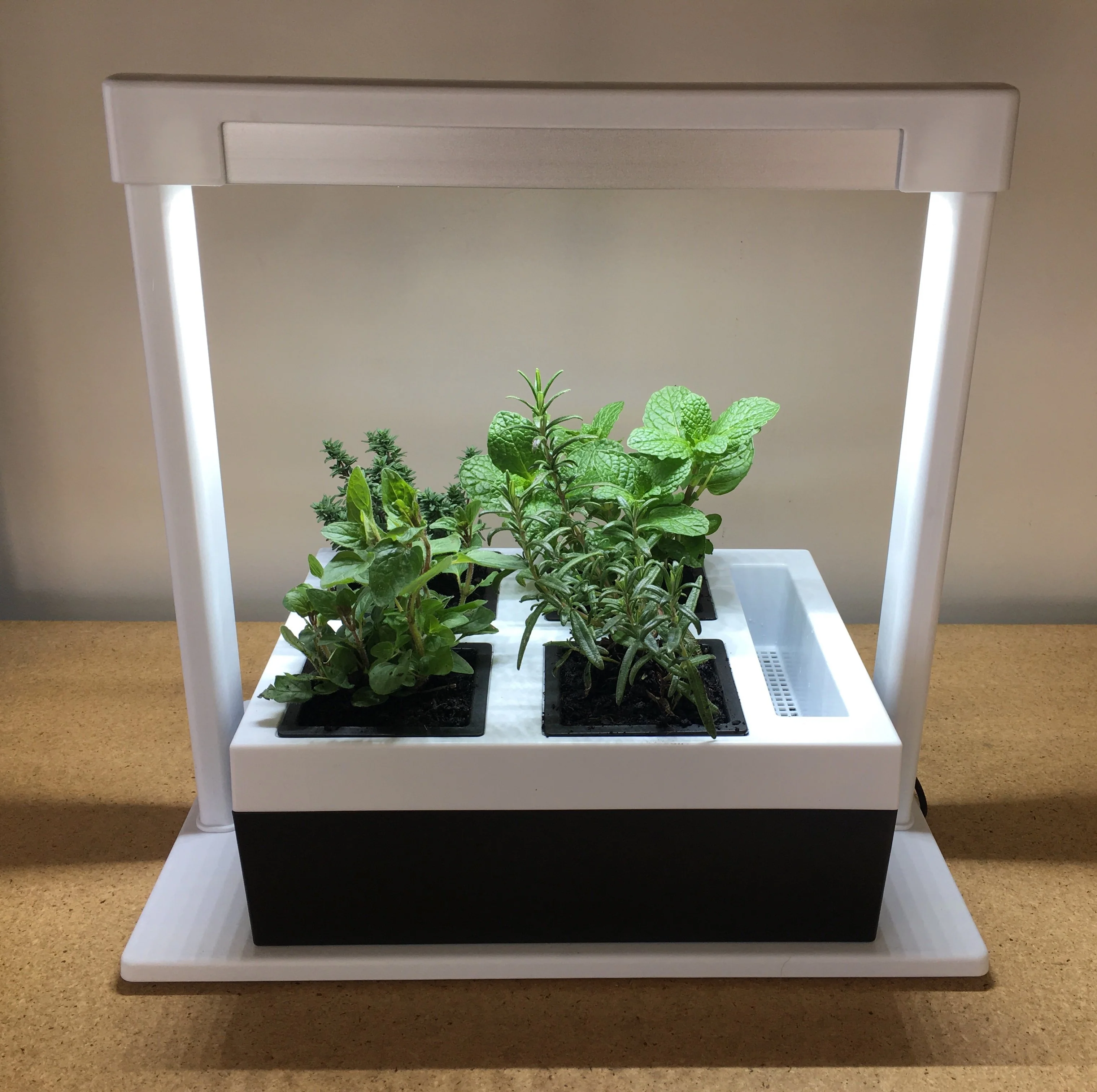 Greenlife LED Grow Light Herb Lamp Kit with 4 Pot Growing Planter - Self Watering - Image 6