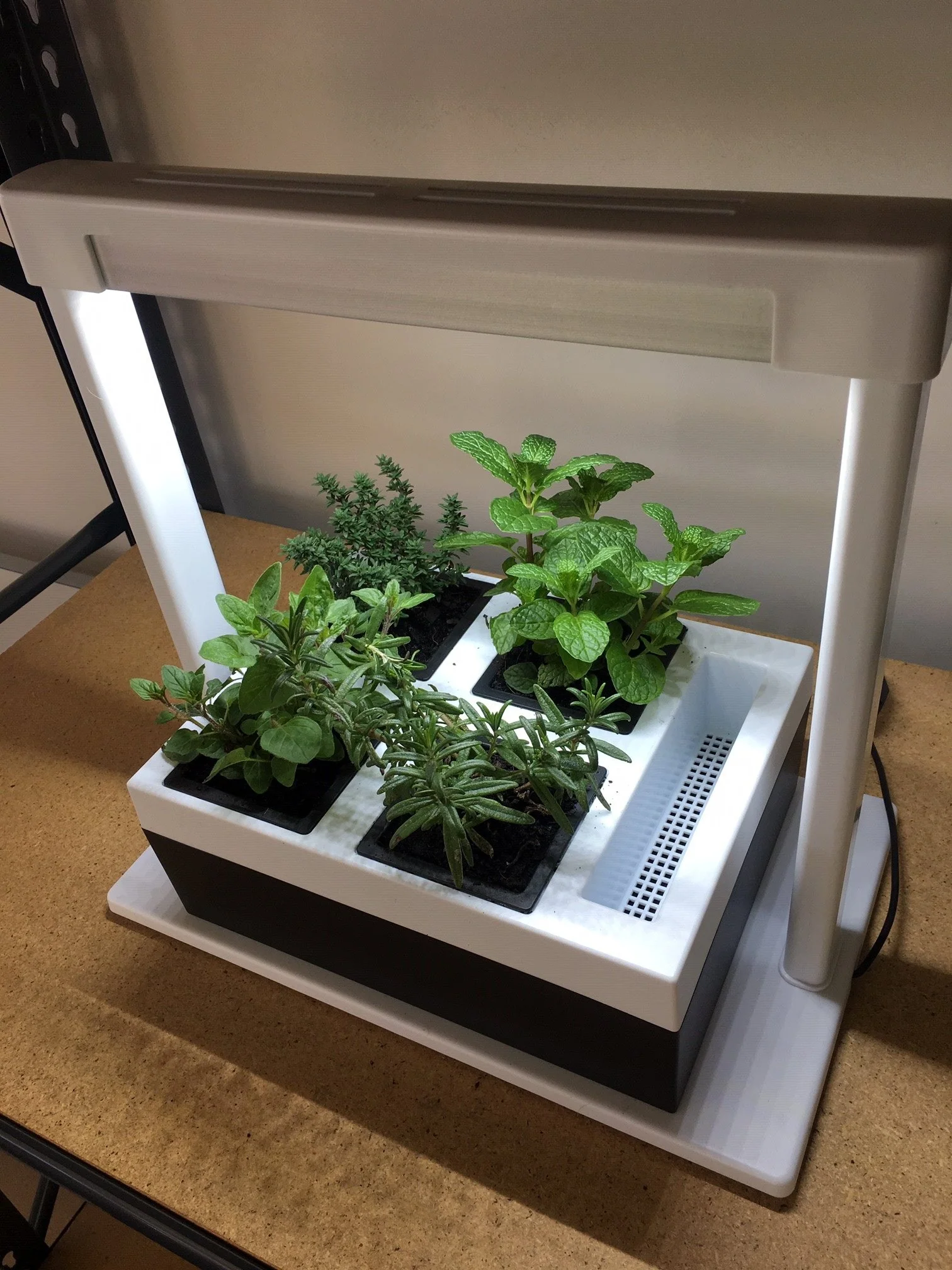 Greenlife LED Grow Light Herb Lamp Kit with 4 Pot Growing Planter - Self Watering - Image 8