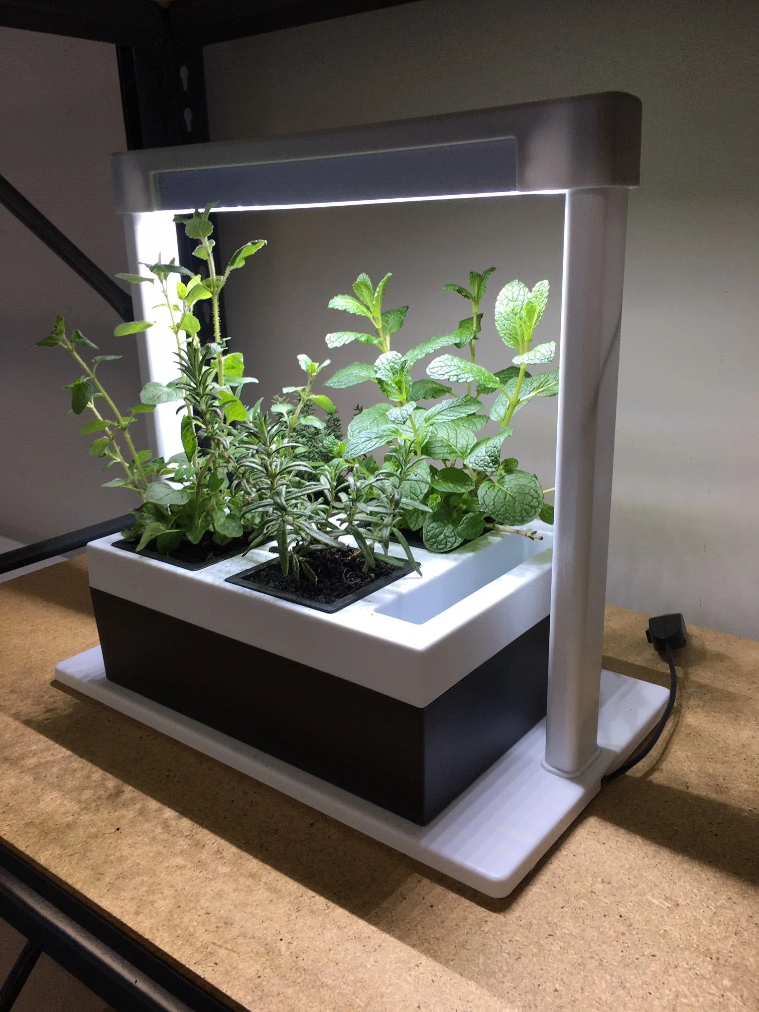 Greenlife LED Grow Light Herb Lamp Kit with 4 Pot Growing Planter - Self Watering - Image 9