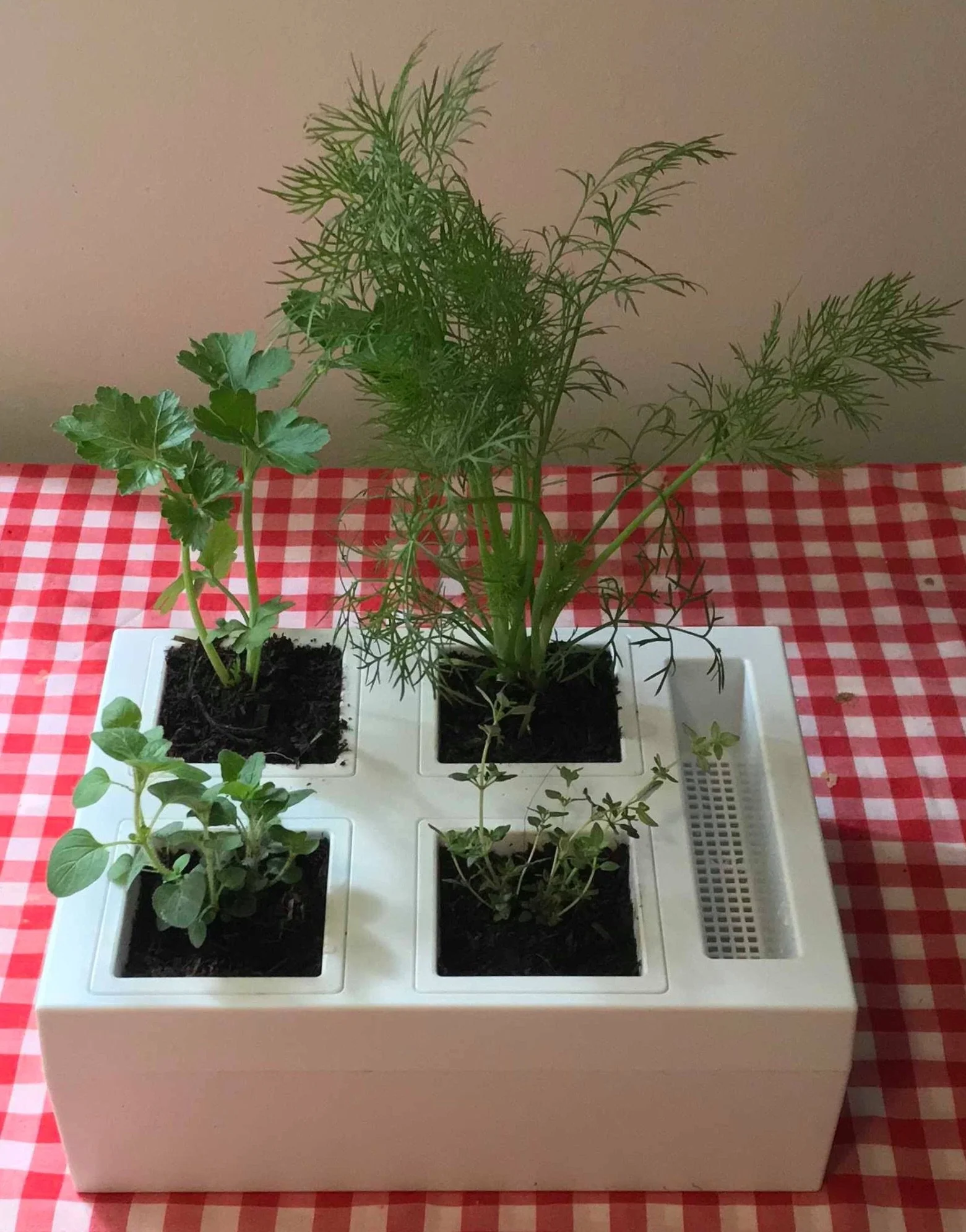 Greenlife Self-watering Bench Top Herb Growing Planter with 4 Pots - Image 5
