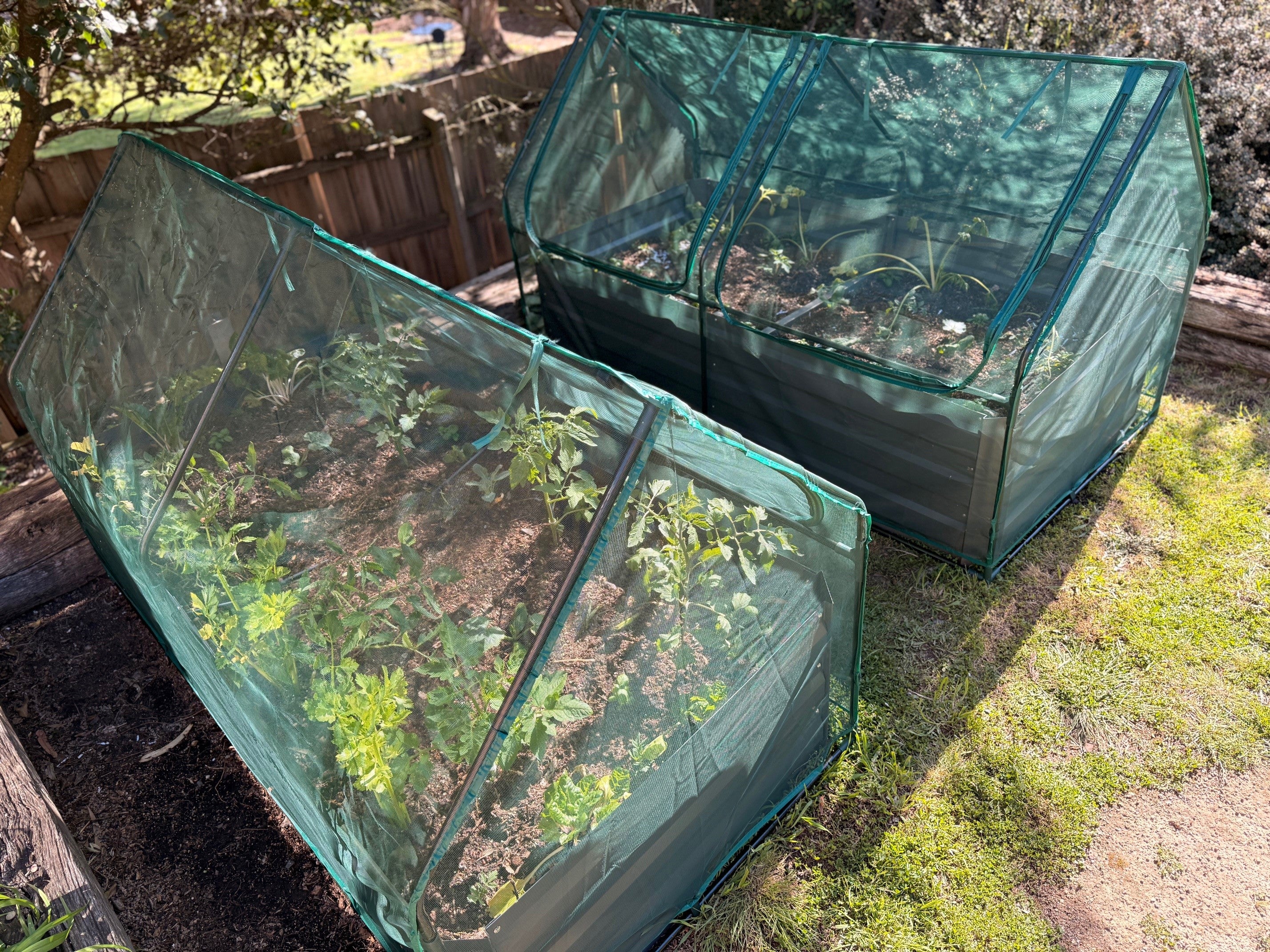 Greenlife Large Drop Over Netting Cover 1850 x 950 x 1020mm (No frame or connectors) - Image 7