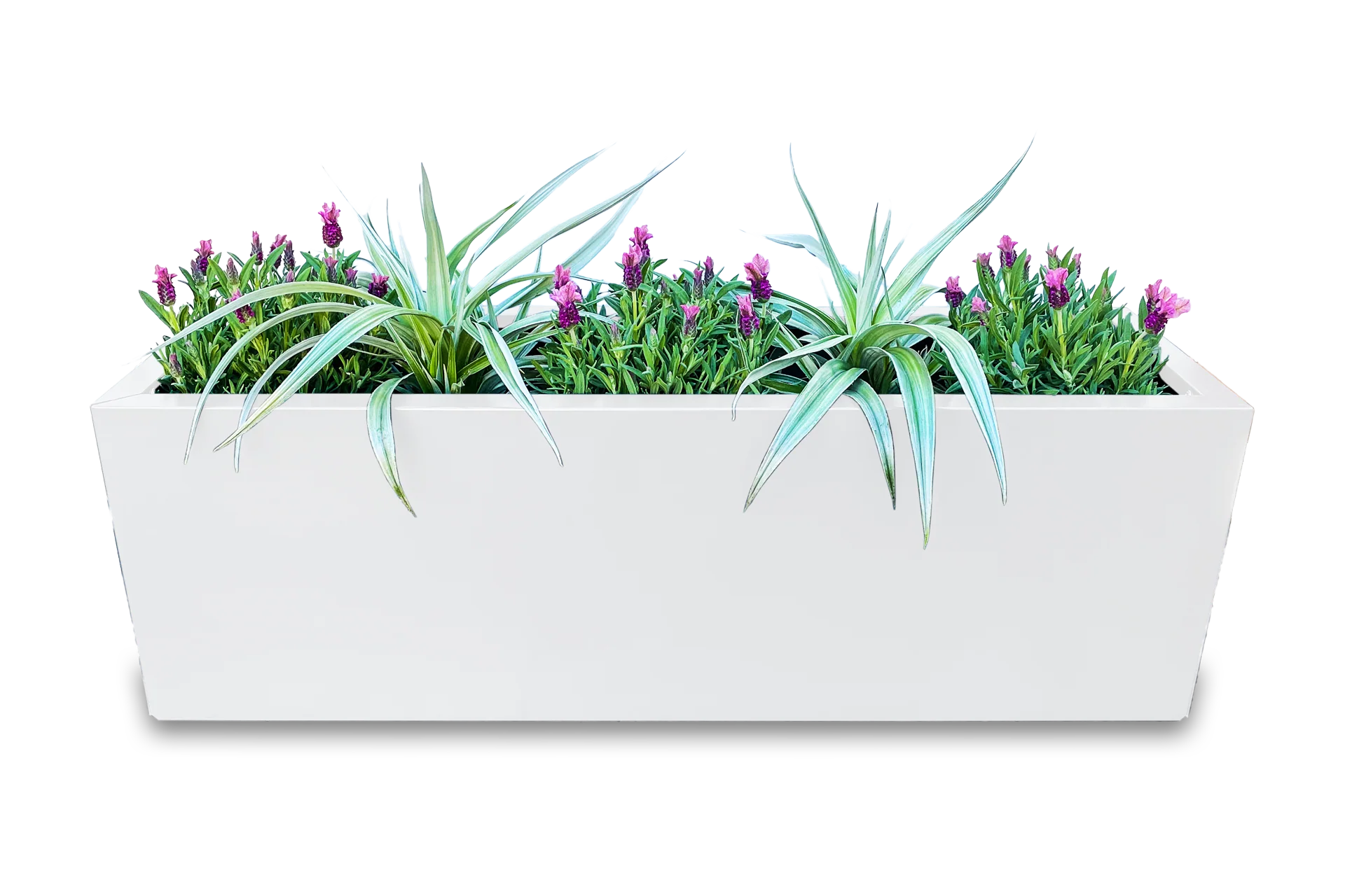Greenlife Metal Designer Planter Box with Base 1200 x 340 x 400mm Vibrant White - Image 7