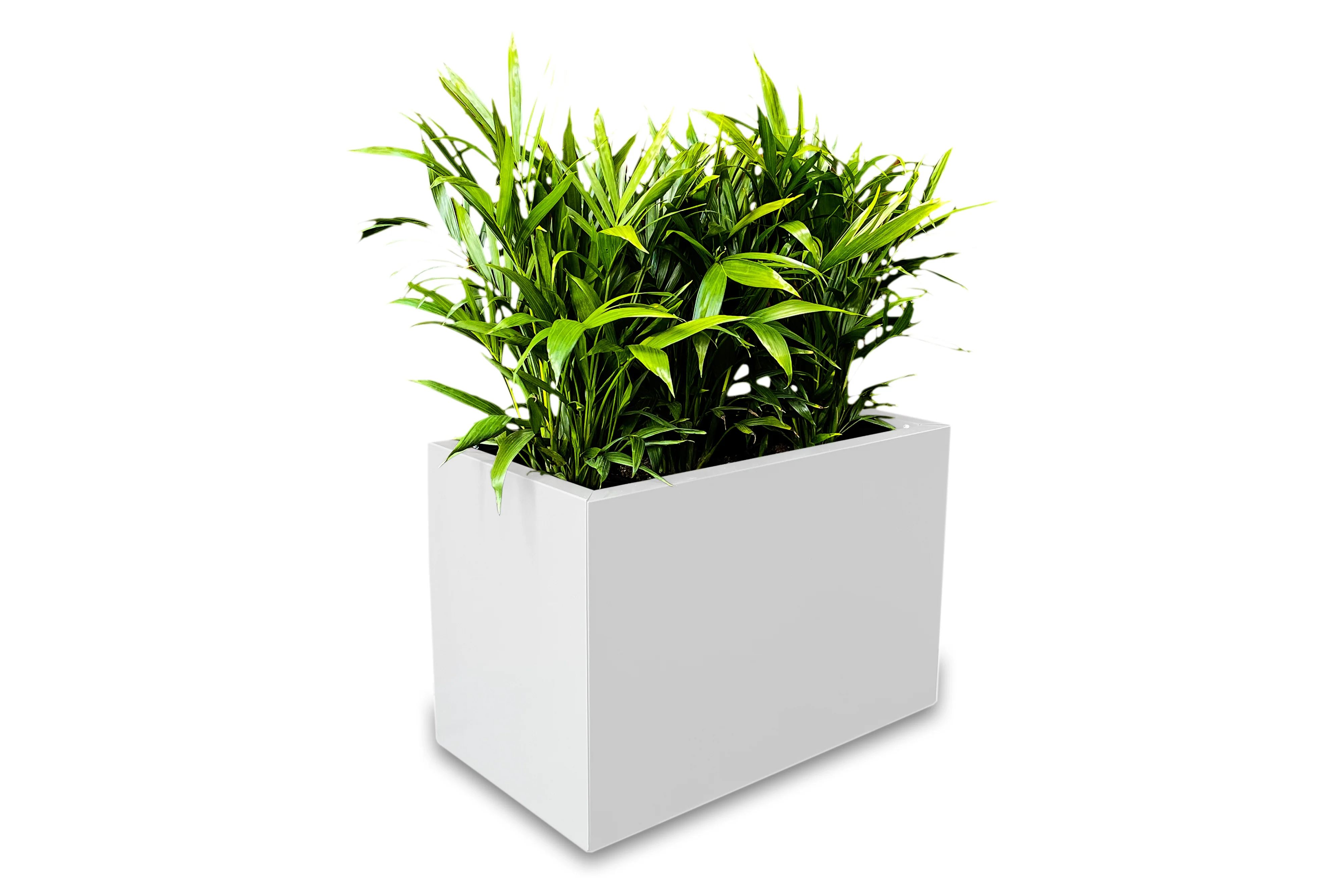 Greenlife Metal Designer Planter Box with Base 600 x 340 x 400mm Vibrant White