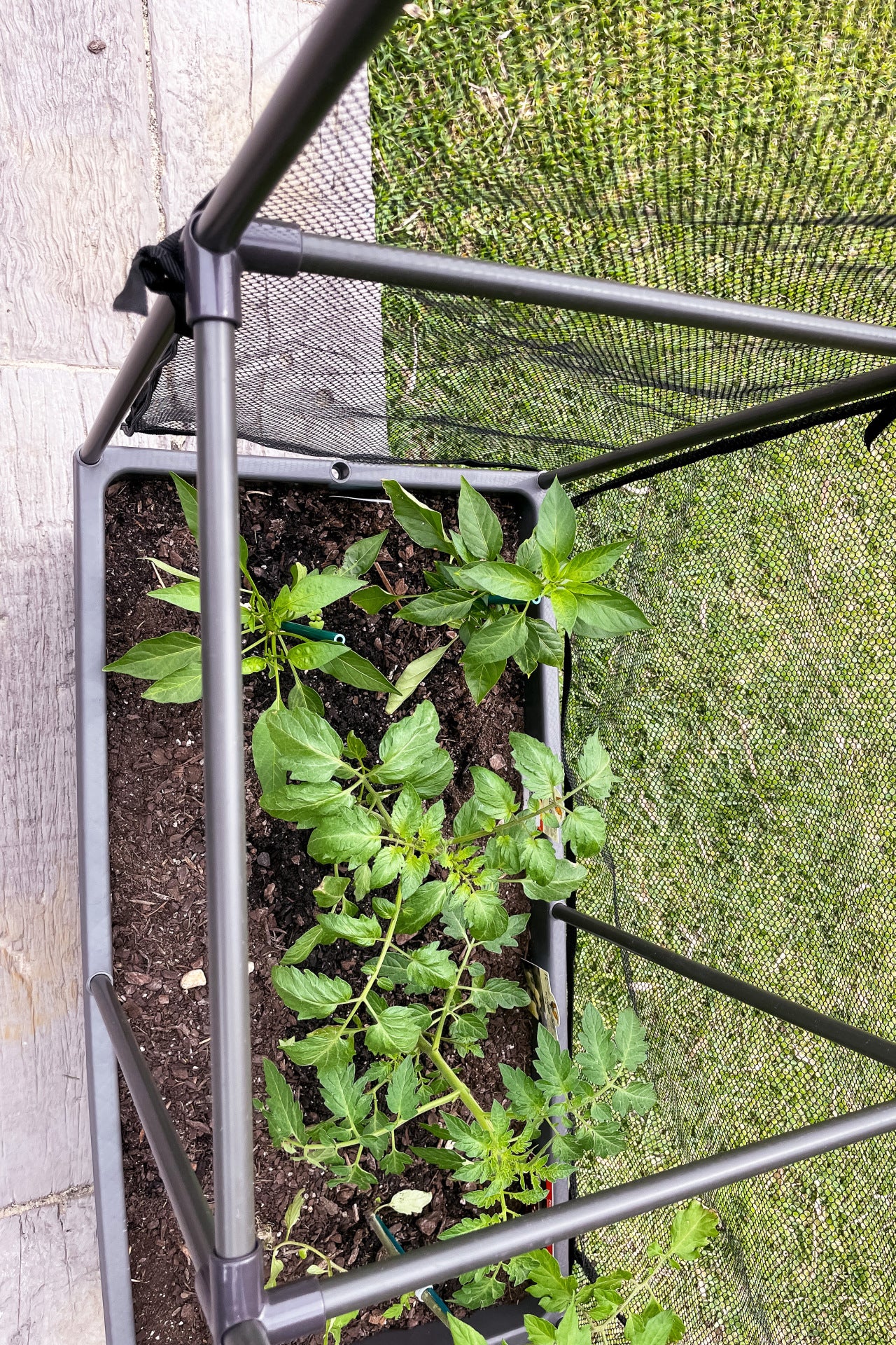 Greenlife Self-Watering Mobile Planter Box with Greenhouse & Netting - Image 14