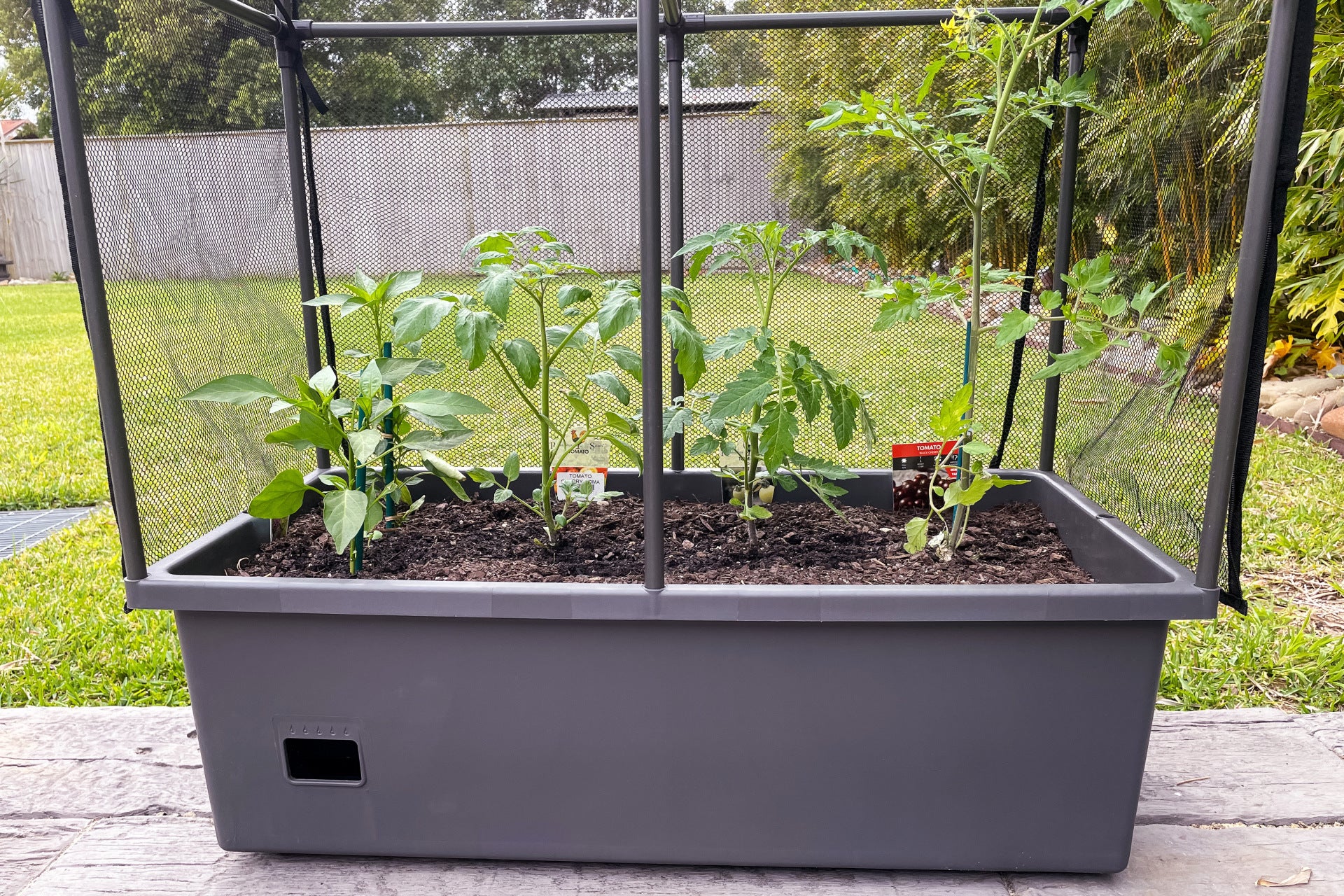 Greenlife Self-Watering Mobile Planter Box with Greenhouse & Netting - Image 15