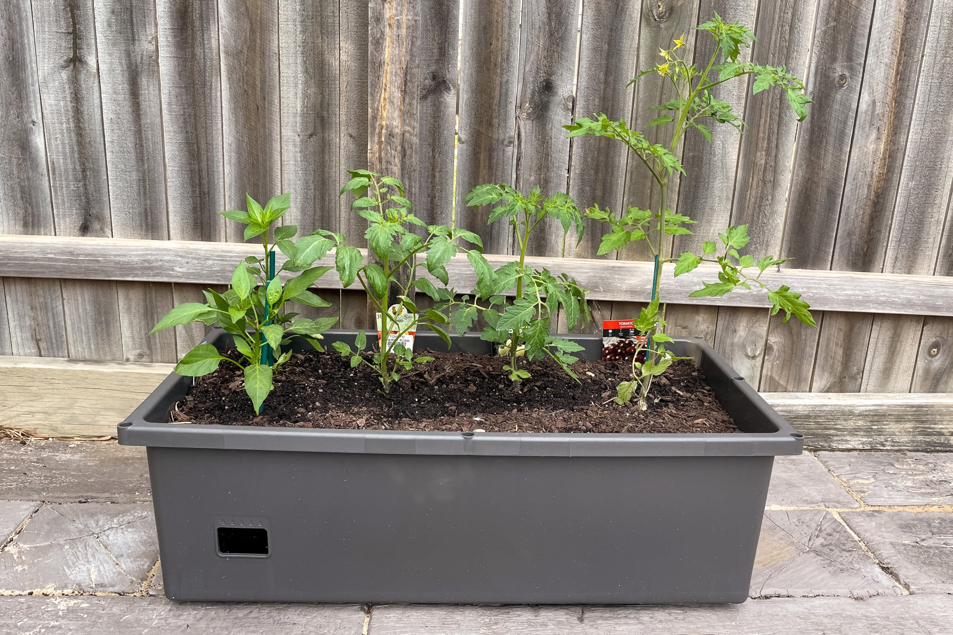 Greenlife Self-Watering Mobile Planter Box with Greenhouse & Netting - Image 17