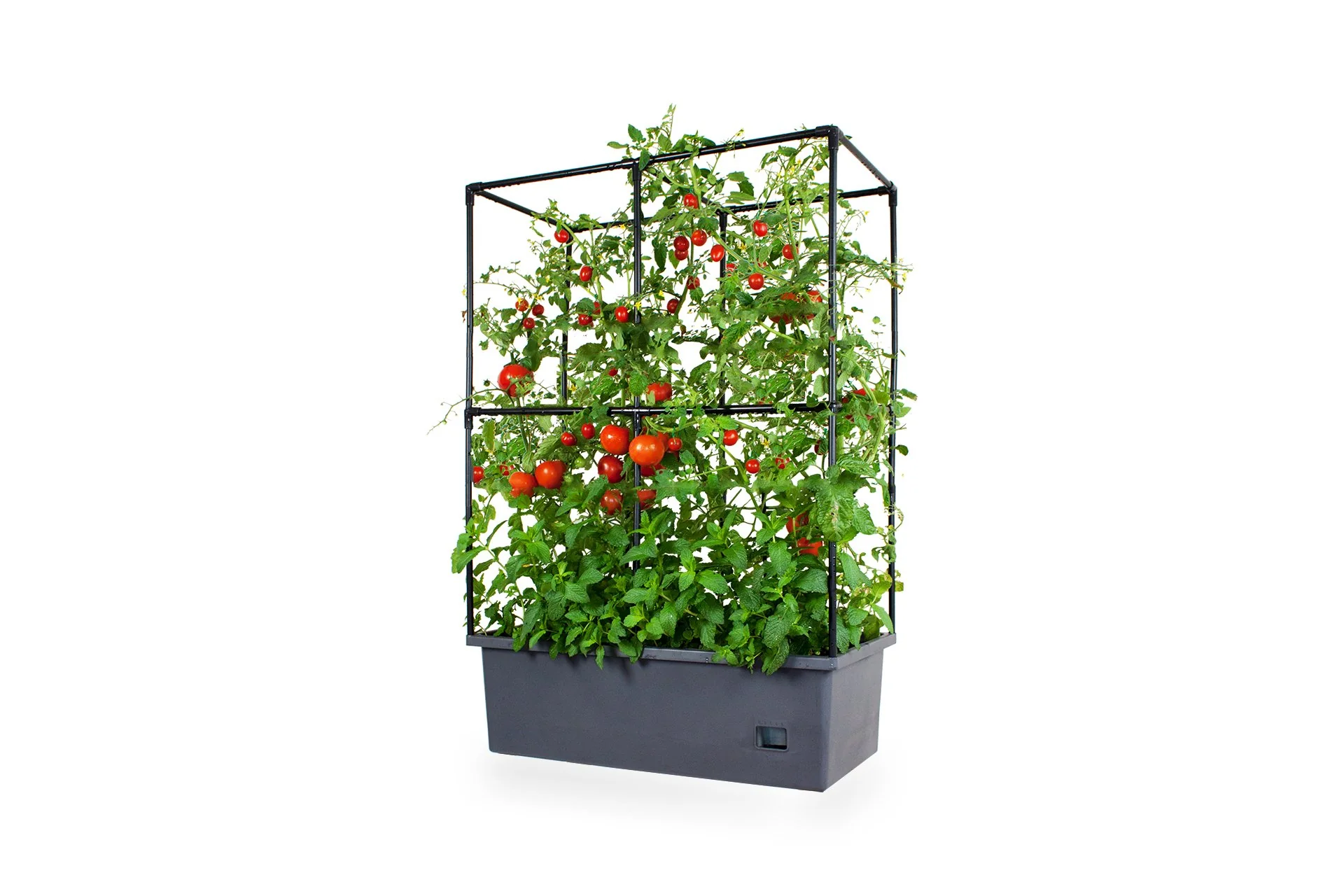 Greenlife Self-Watering Mobile Planter Box with Greenhouse & Netting - Image 4