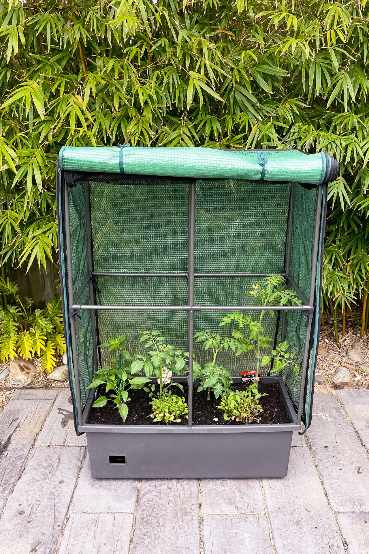 Greenlife Self-Watering Mobile Planter Box with Greenhouse & Netting - Image 7