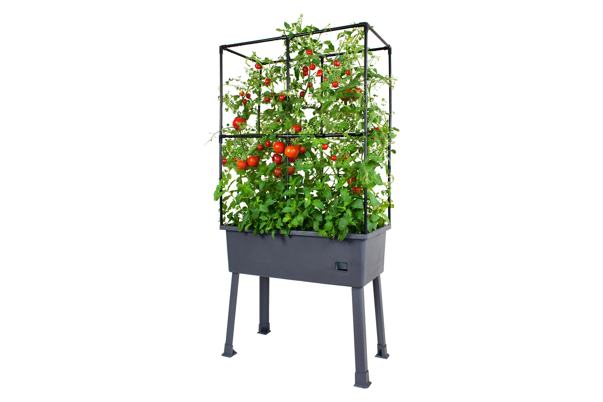 Greenlife Self-Watering Mobile Planter Box with Greenhouse + Leg Kit Bundle