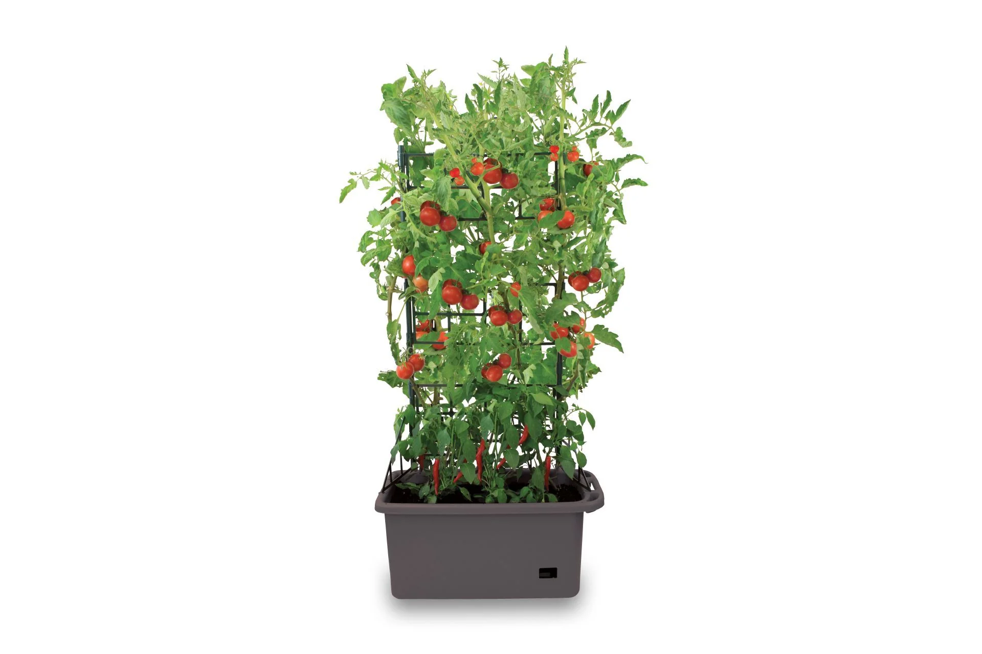 Greenlife Mobile Vege Patch with Self Watering Pot - Slate Grey - Image 2