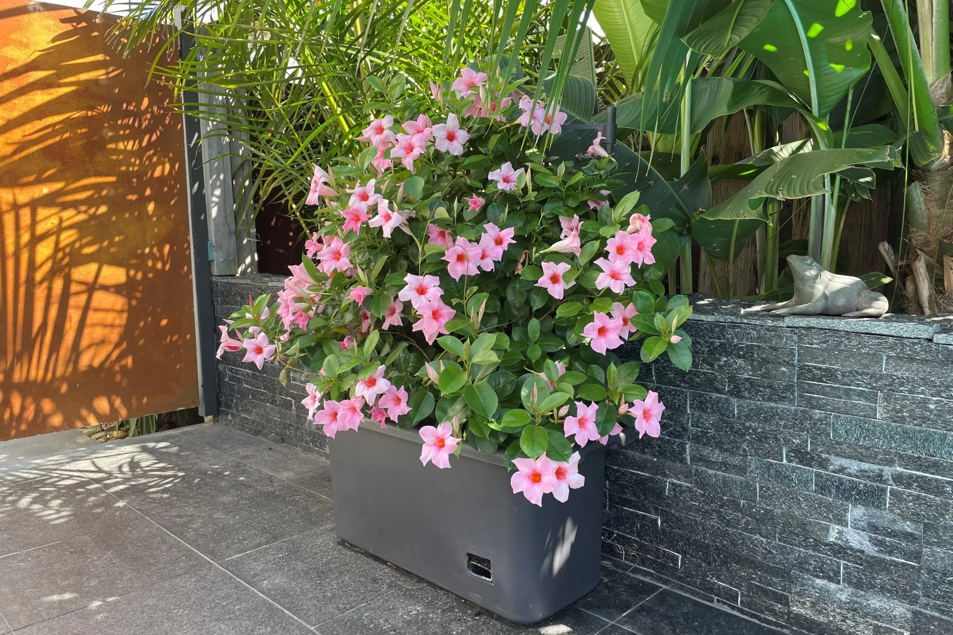 Greenlife Mobile Vege Patch with Self Watering Pot - Slate Grey - Image 3