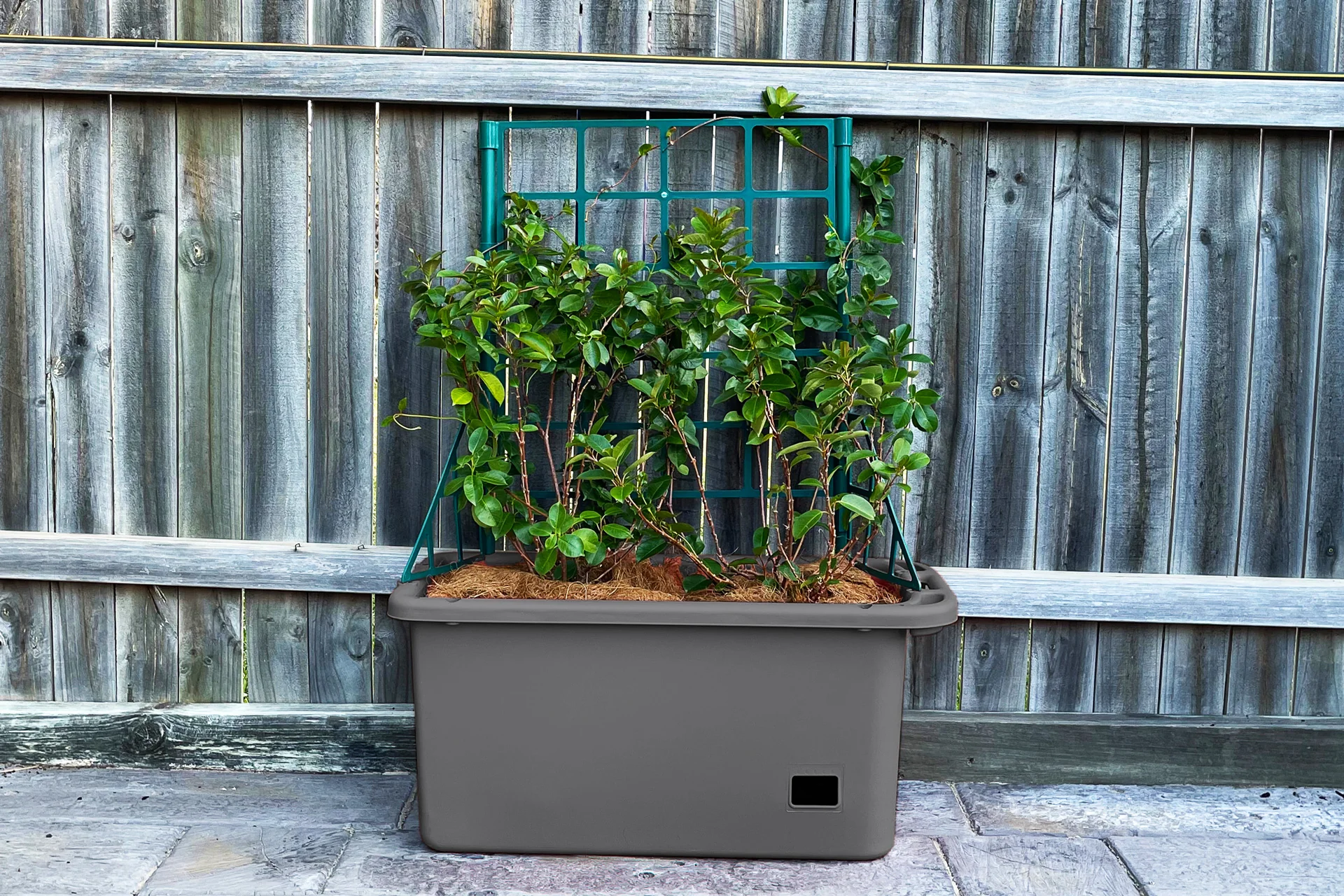 Greenlife Mobile Vege Patch with Self Watering Pot - Slate Grey - Image 4