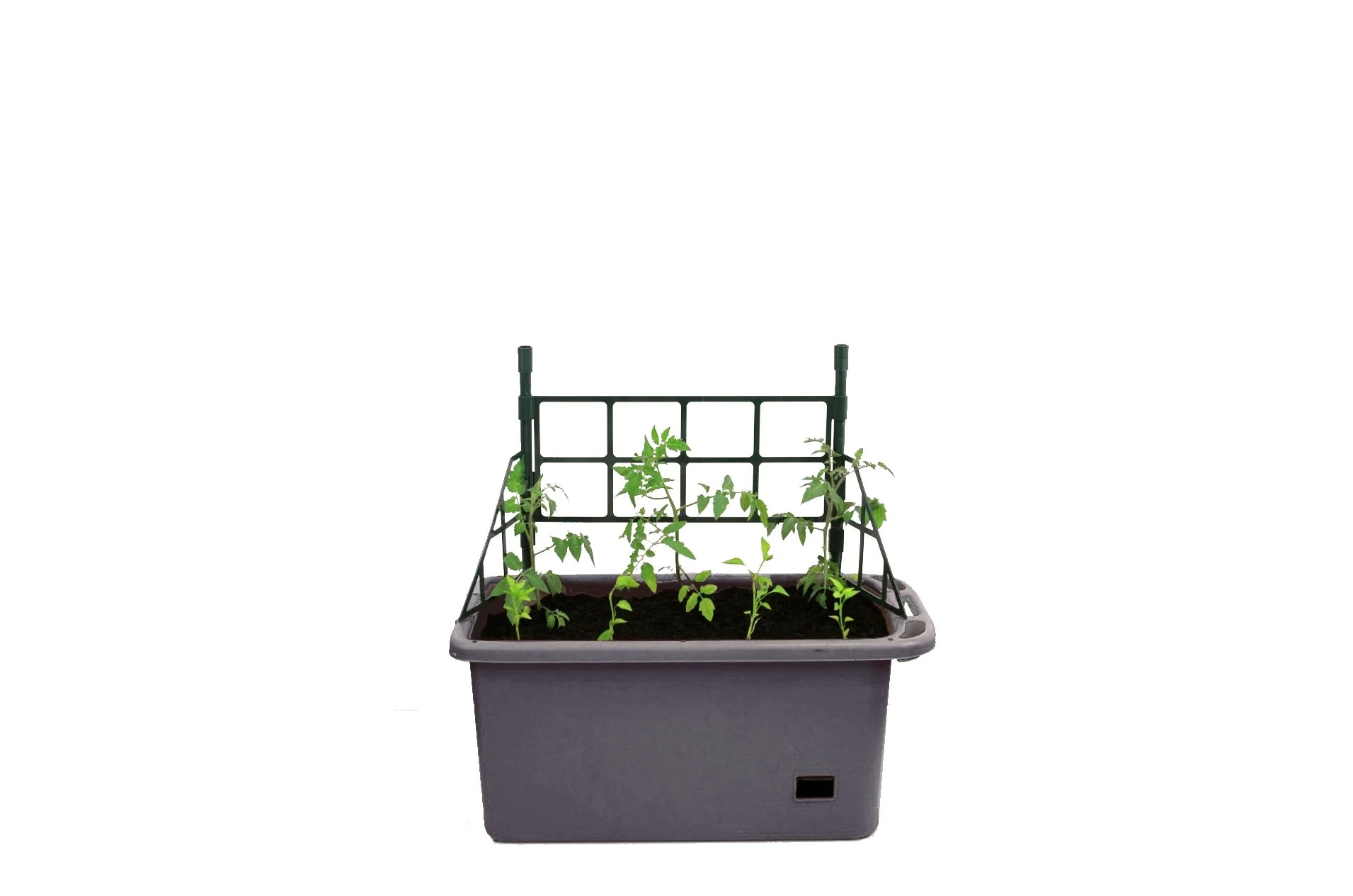 Greenlife Mobile Vege Patch with Self Watering Pot - Slate Grey - Image 5