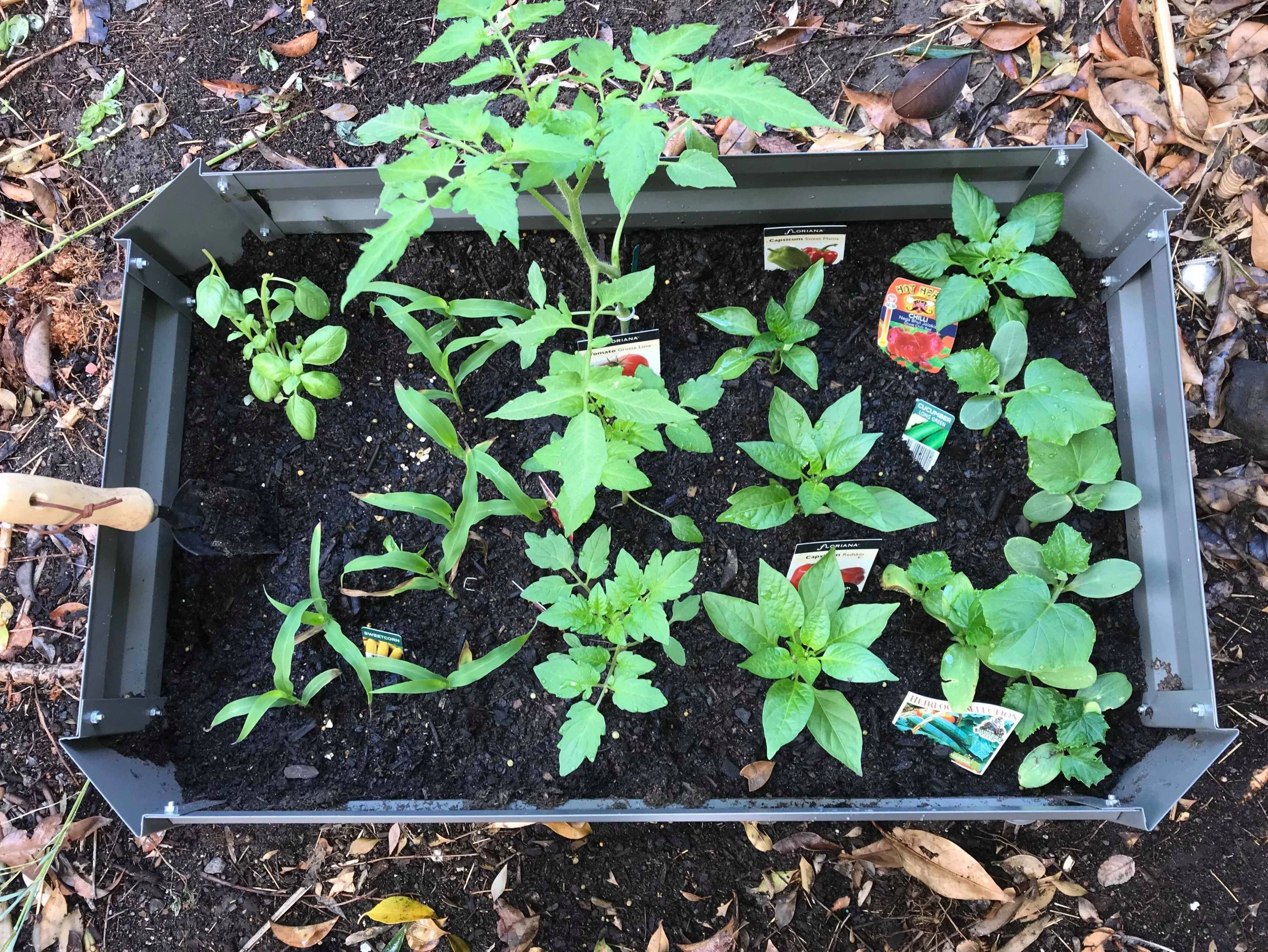 Greenlife Patio Raised Garden Bed with Base 800 x 500 x 300 Charcoal - Image 6